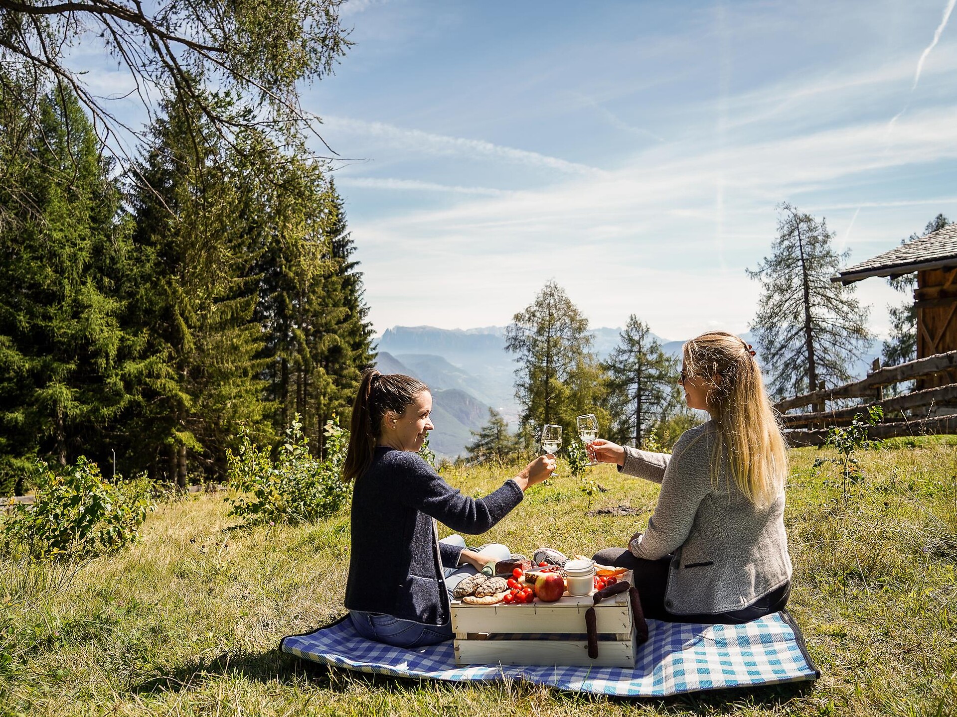 Picnic nel vigneto - Strada del Vino - #1 - suedtirol.info