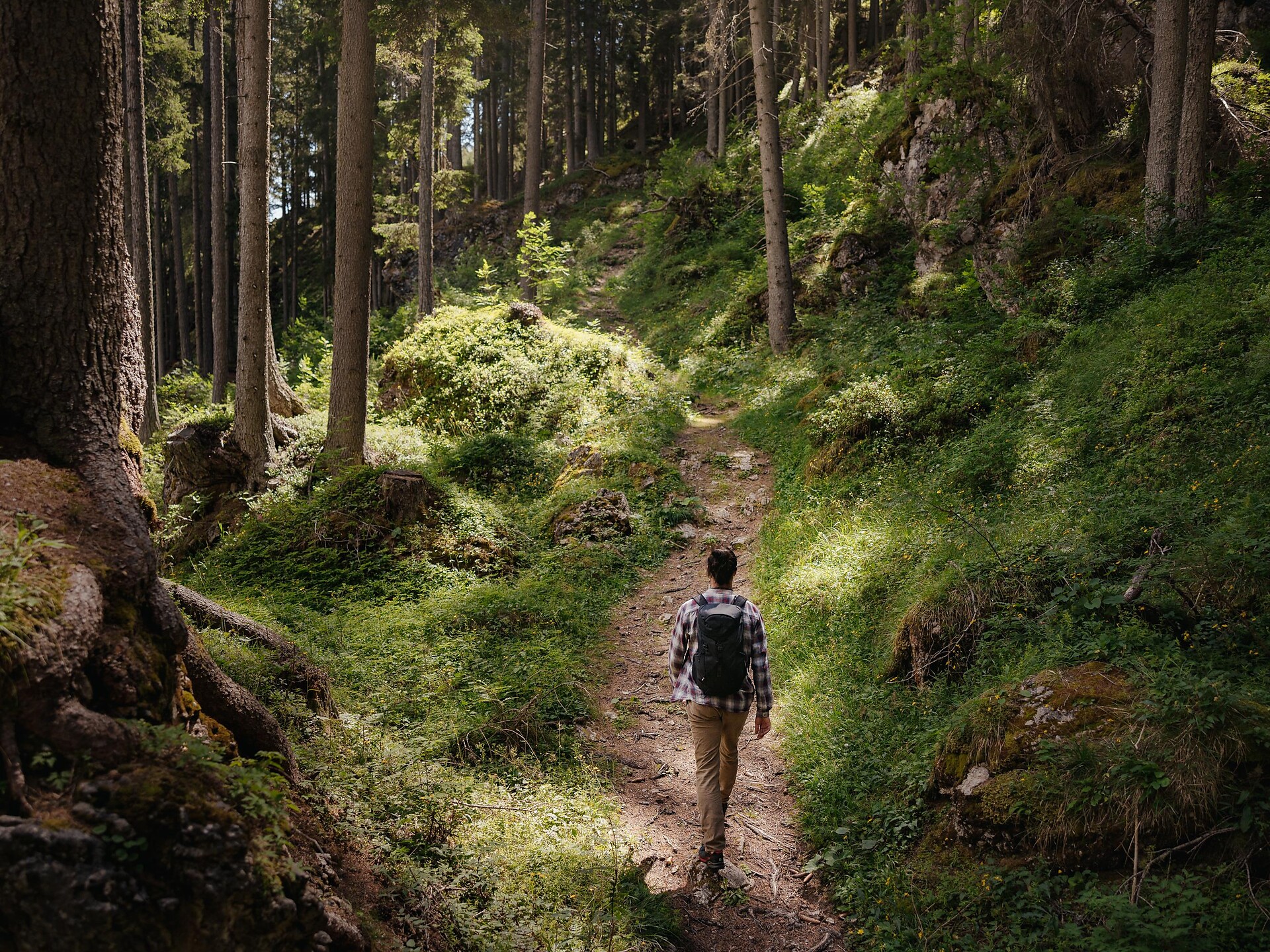 Escursione alla scoperta dei funghi - Regione dolomitica Alta Badia - #1 - suedtirol.info