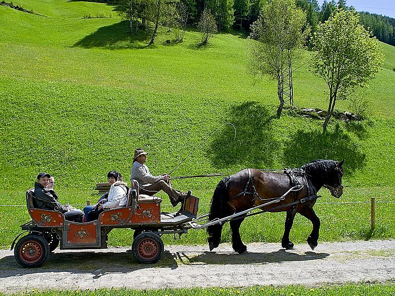 Pferdekutschenfahrt durch die Frühlingslandschaft des Ahrntals Ahrntal 1 suedtirol.info
