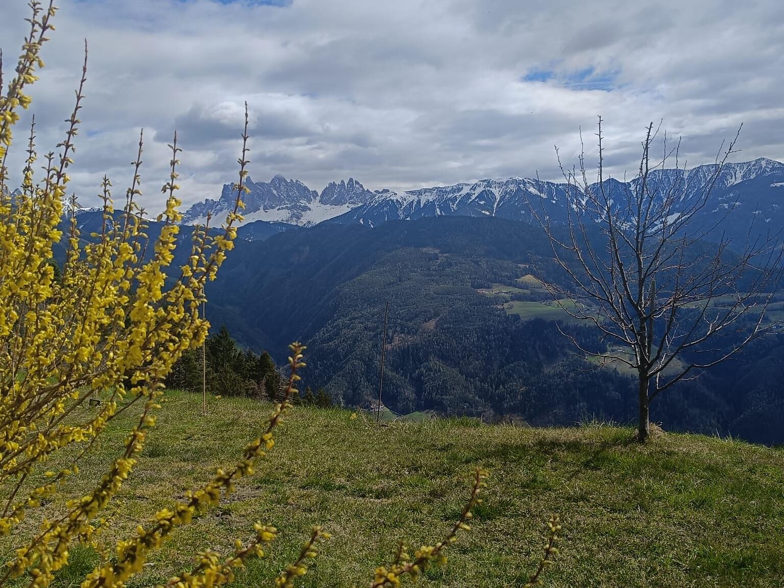 Qigong und "a guater Holbmittog" (dt. gute Jause) - Brixen und Umgebung - #3 - suedtirol.info