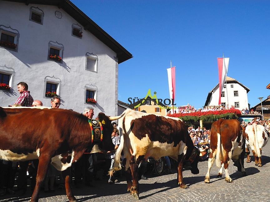 Rosari Almabtrieb in Lajen -  - #2 - suedtirol.info