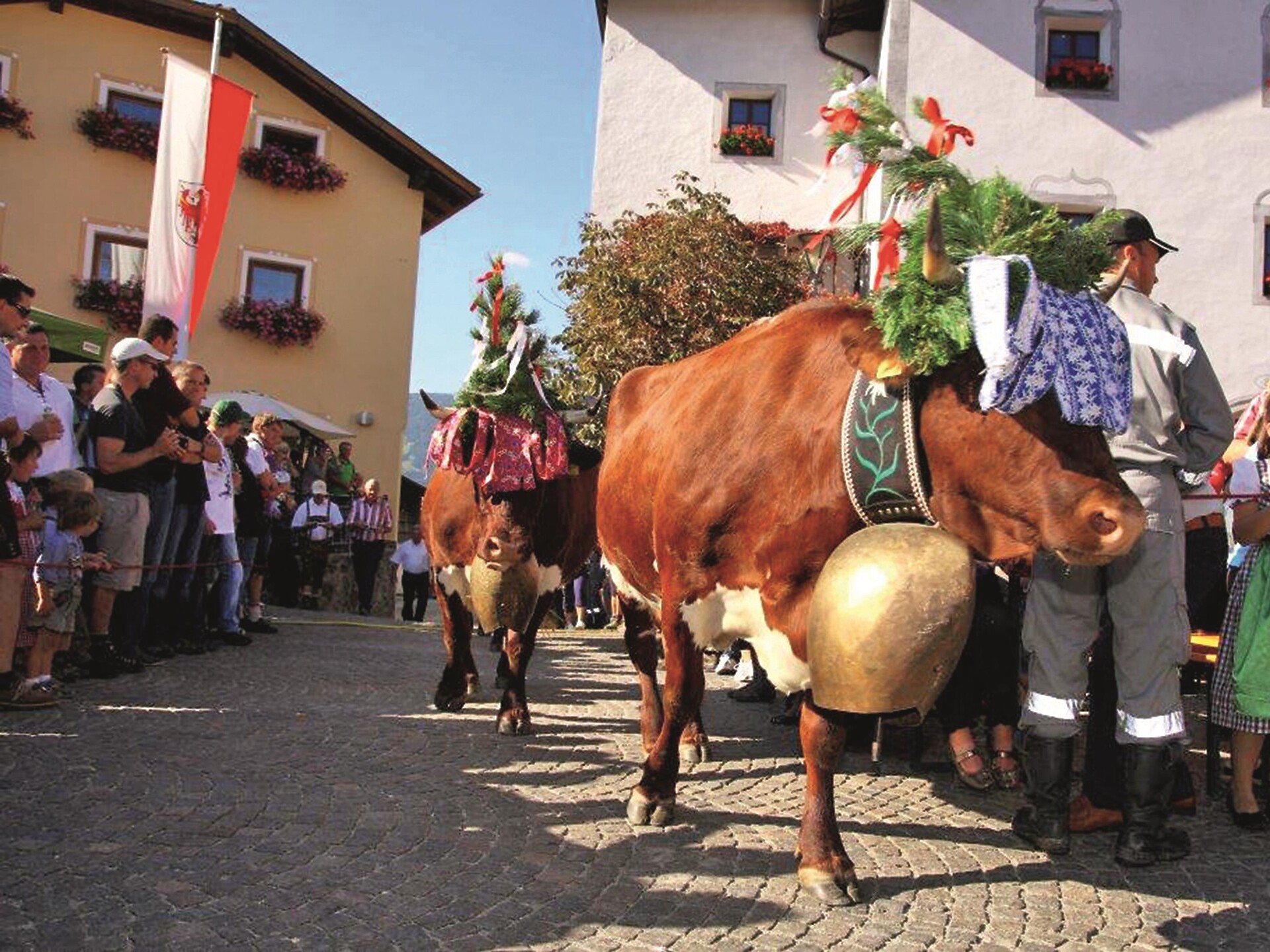 Rosari Almabtrieb in Lajen -  - #1 - suedtirol.info
