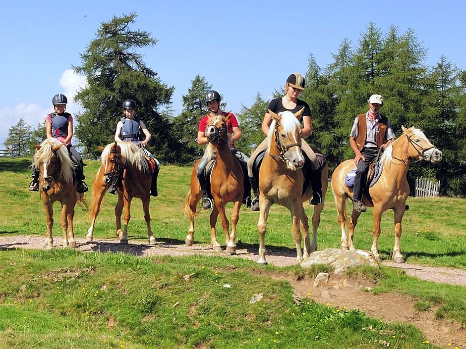 Riding stable Oberfahrerhof - Bolzano/Bozen and environs - #1 - suedtirol.info