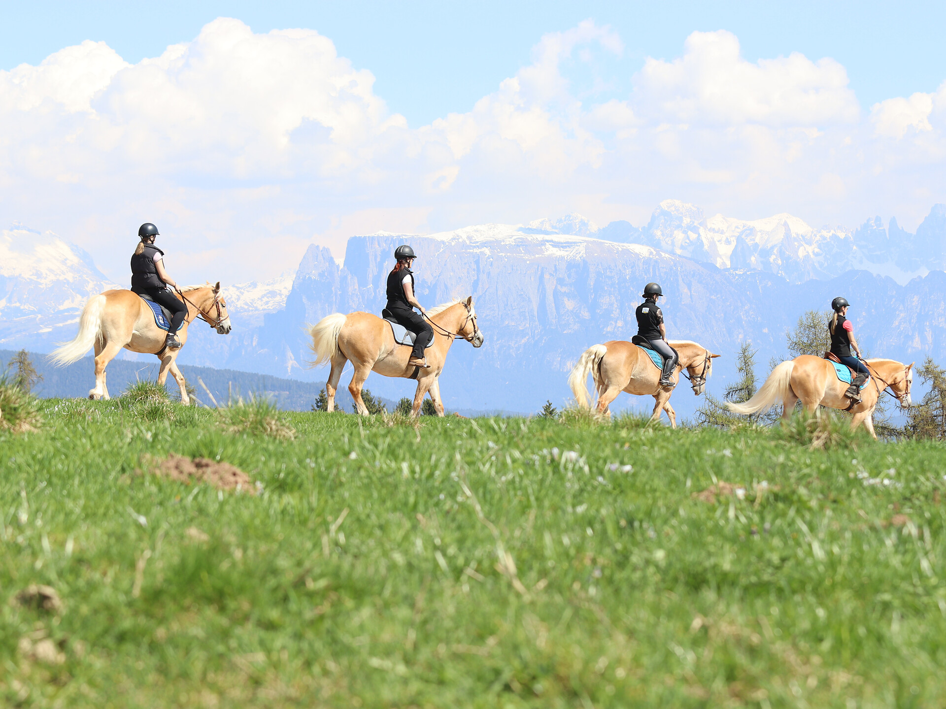 Reitabenteuer beim Matunschmiedhof - Bozen und Umgebung - #1 - suedtirol.info