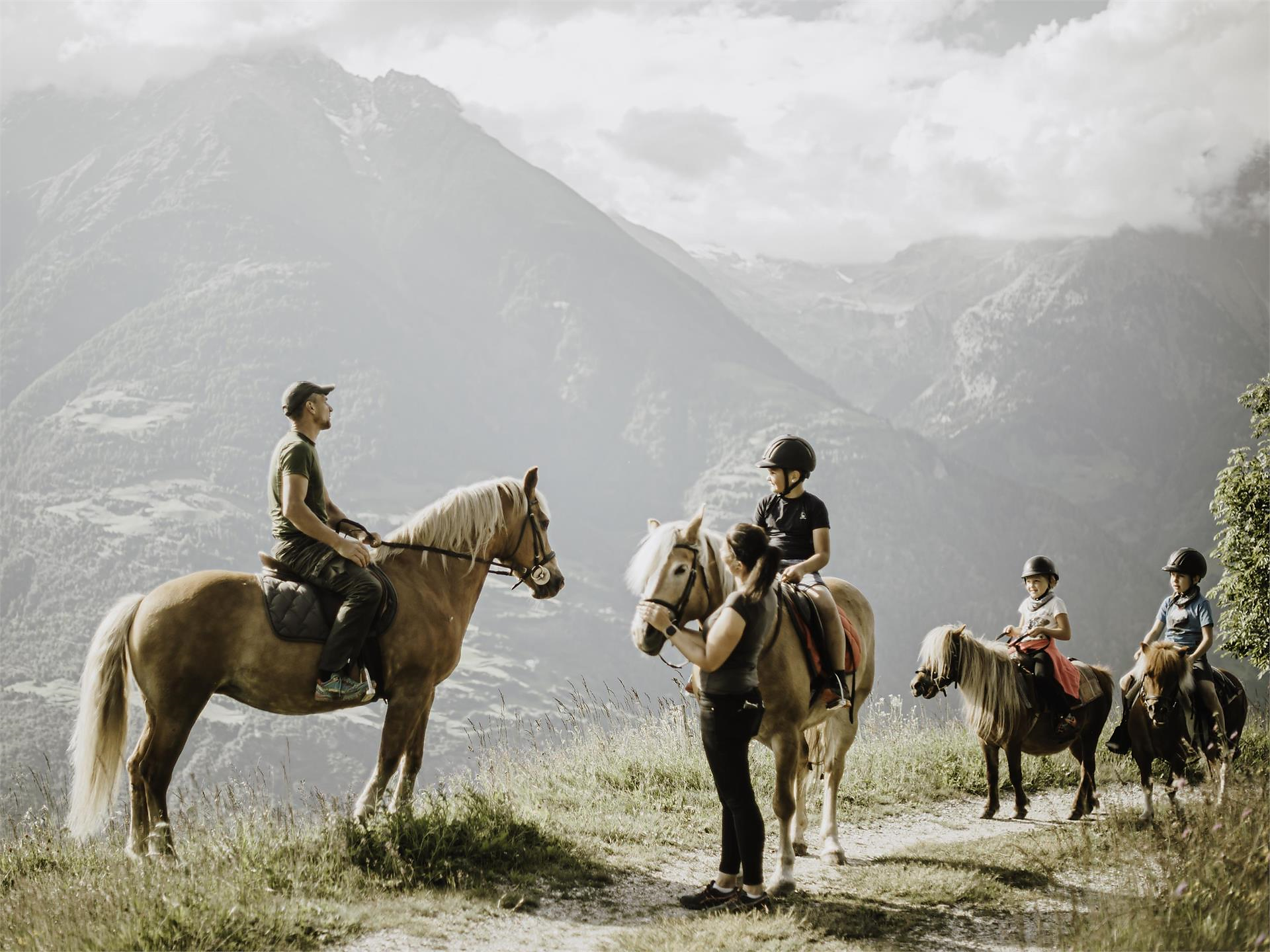 Horseback Riding Experience at Tholer Algund/Lagundo 1 suedtirol.info