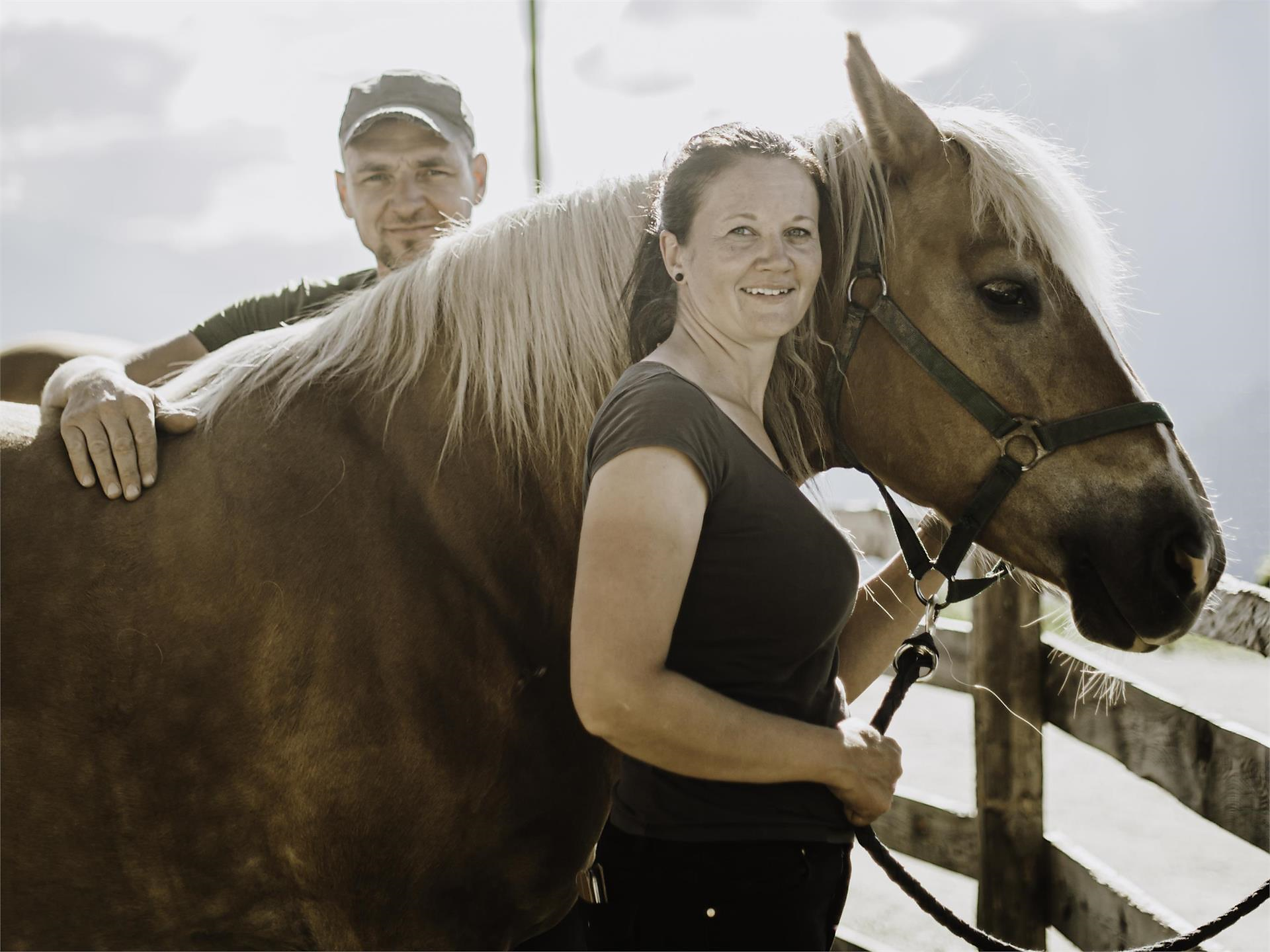 Horseback Riding Experience at Tholer Algund/Lagundo 2 suedtirol.info