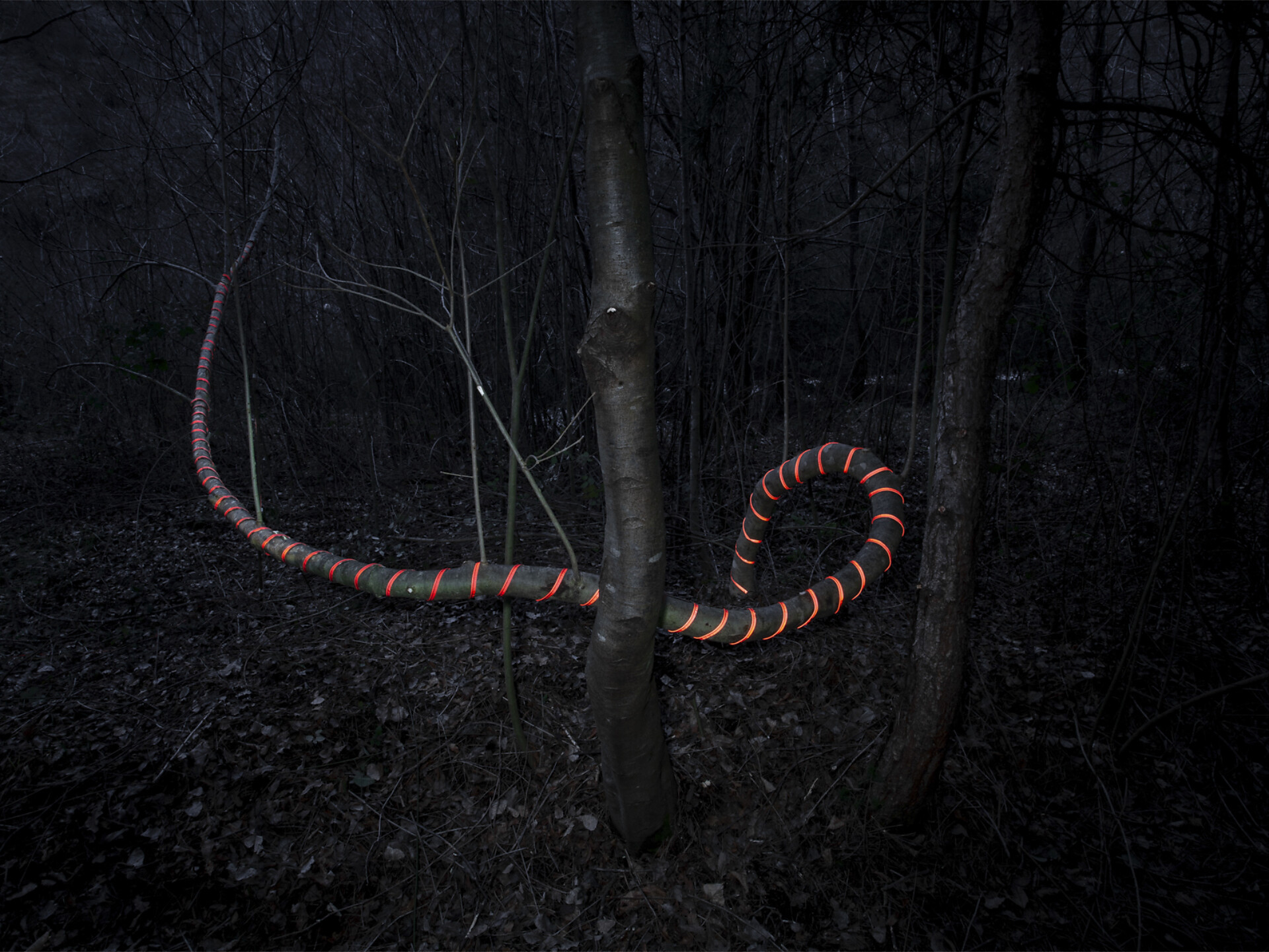 RE/LATE - Fotoausstellung von Nazzareno Berton und Sergio Carlesso - Meran und Umgebung - #3 - suedtirol.info