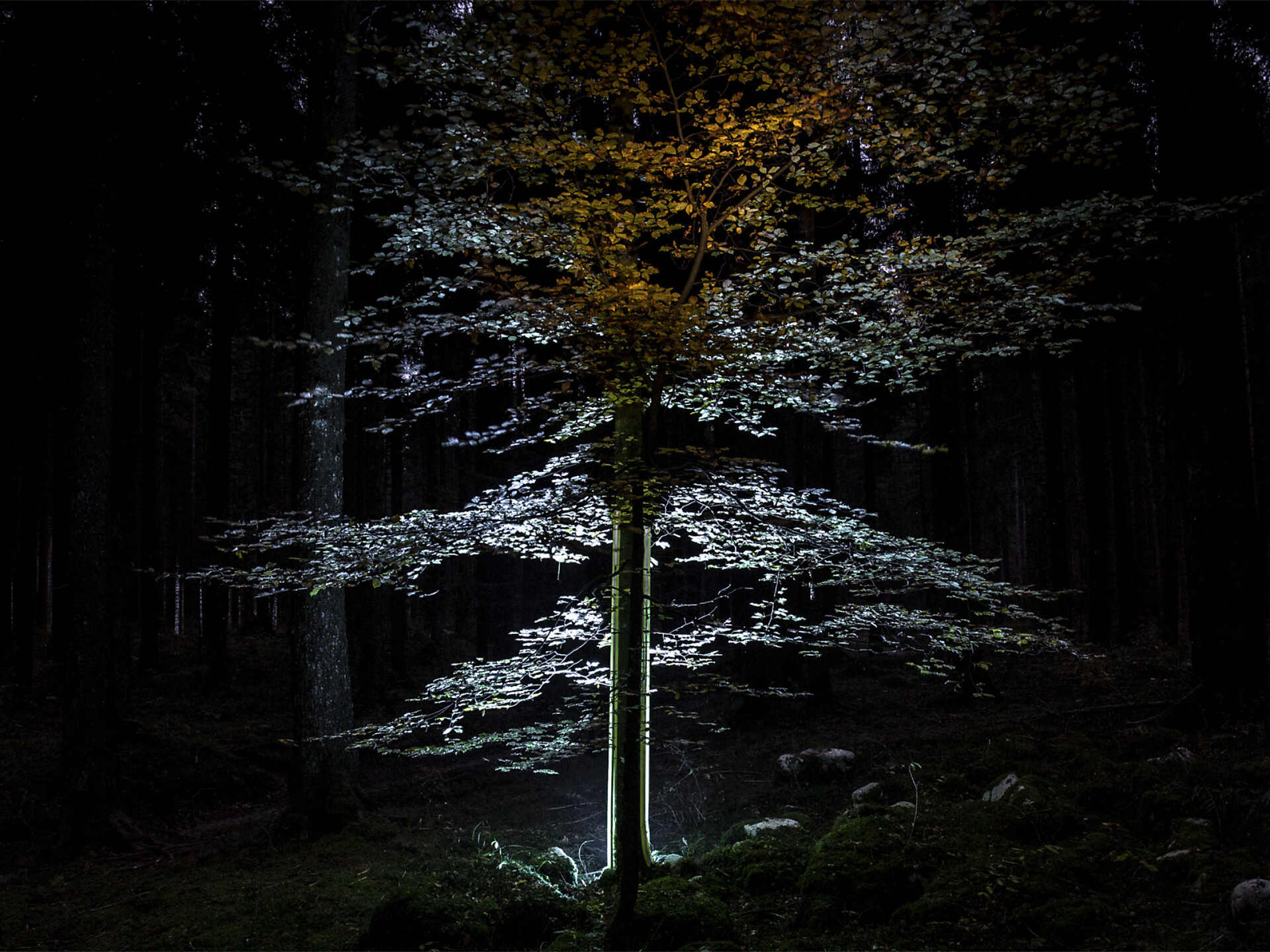 RE/LATE - Fotoausstellung von Nazzareno Berton und Sergio Carlesso - Meran und Umgebung - #2 - suedtirol.info