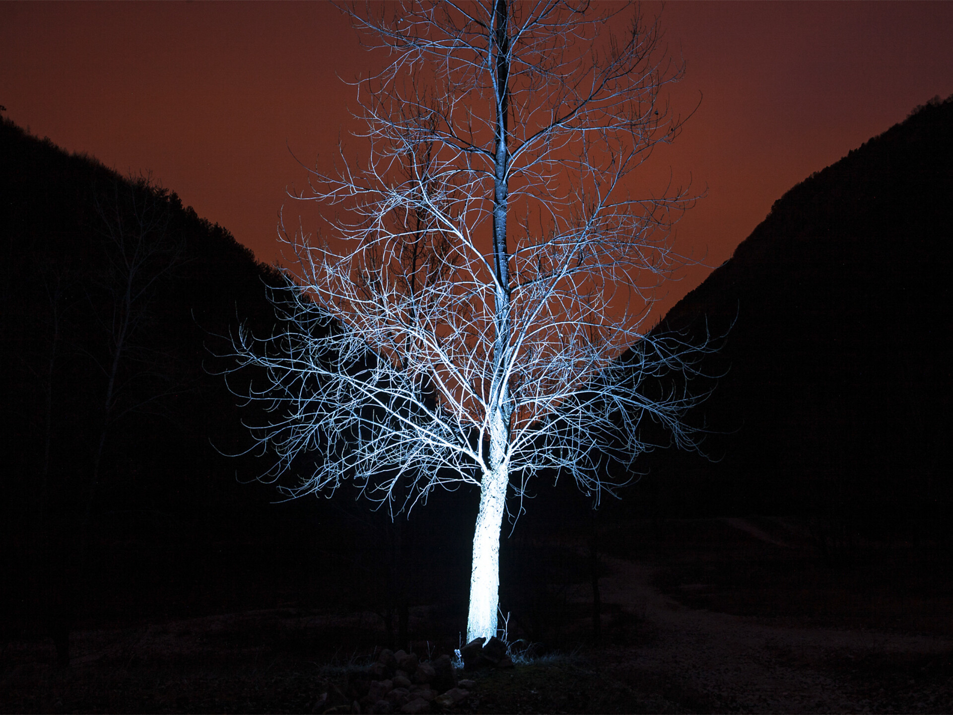 RE/LATE - Fotoausstellung von Nazzareno Berton und Sergio Carlesso - Meran und Umgebung - #1 - suedtirol.info