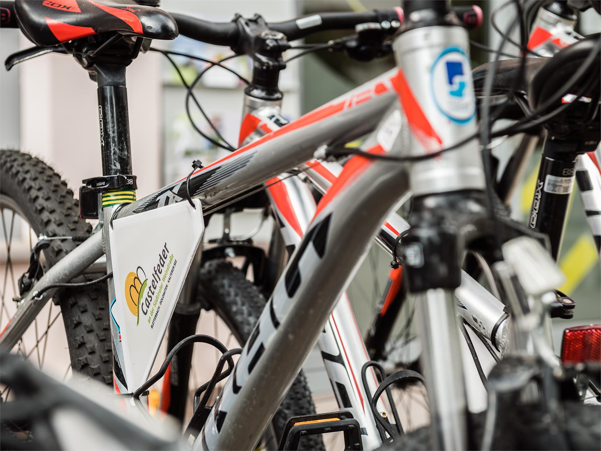 Bike rental at the tourist office in Auer/Ora: E-MTB Auer/Ora 2 suedtirol.info