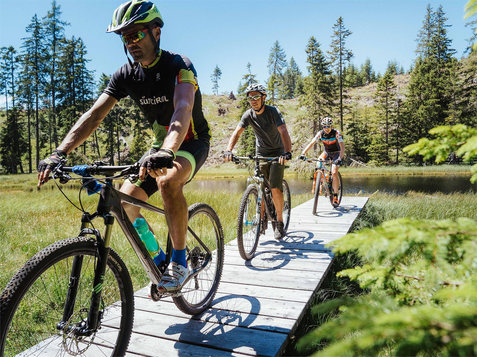 Bike rental at the tourist office in Auer/Ora: E-MTB Auer/Ora 1 suedtirol.info