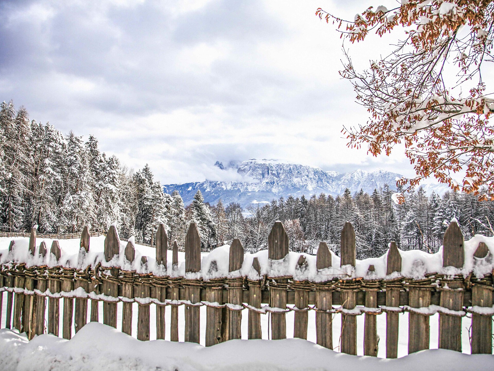 Exploring Ritten, a winter guided hike - Bolzano/Bozen and environs - #2 - suedtirol.info