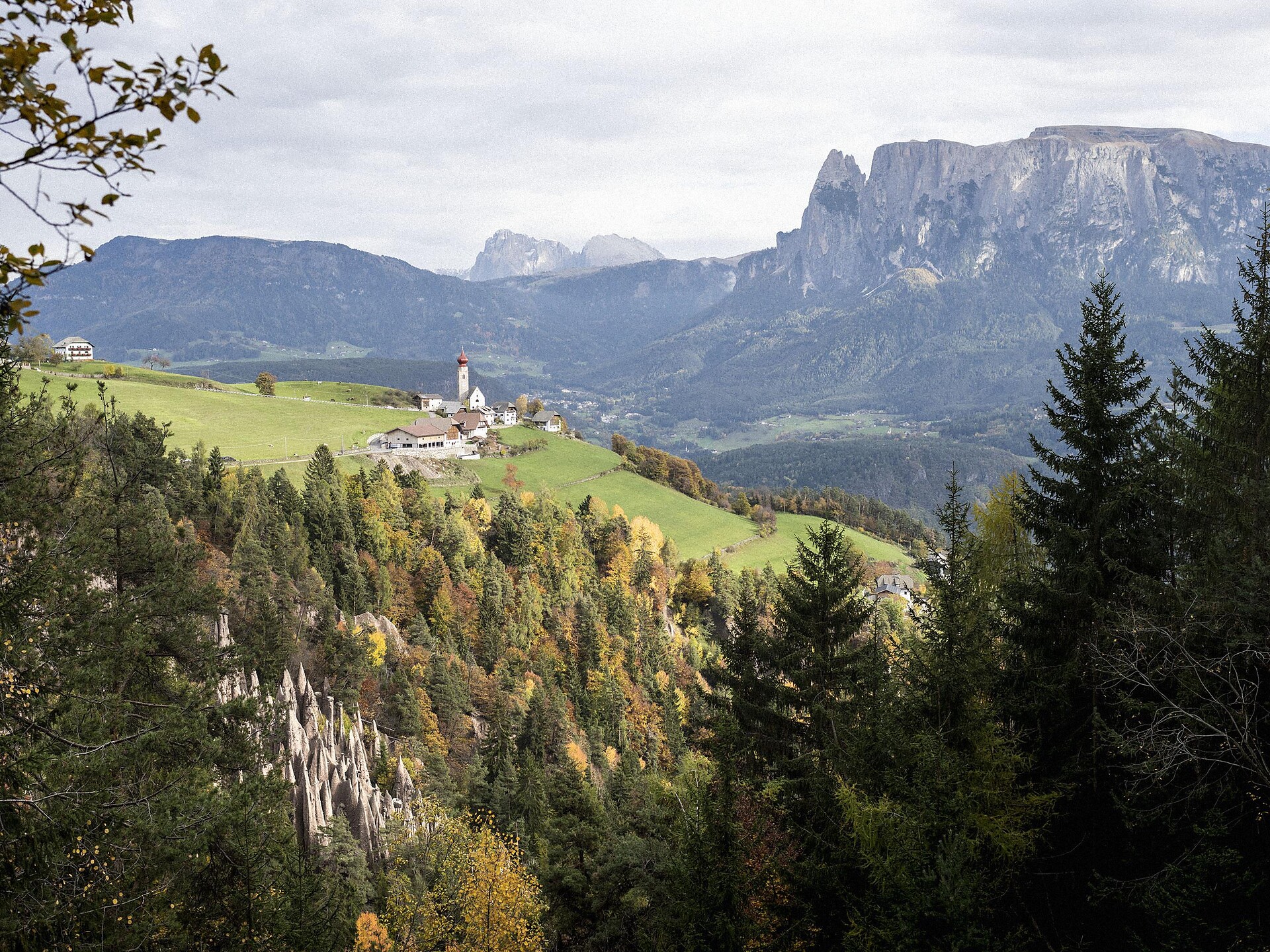 Alla scoperta del Renon, escursione guidata giornaliera Renon 1 suedtirol.info