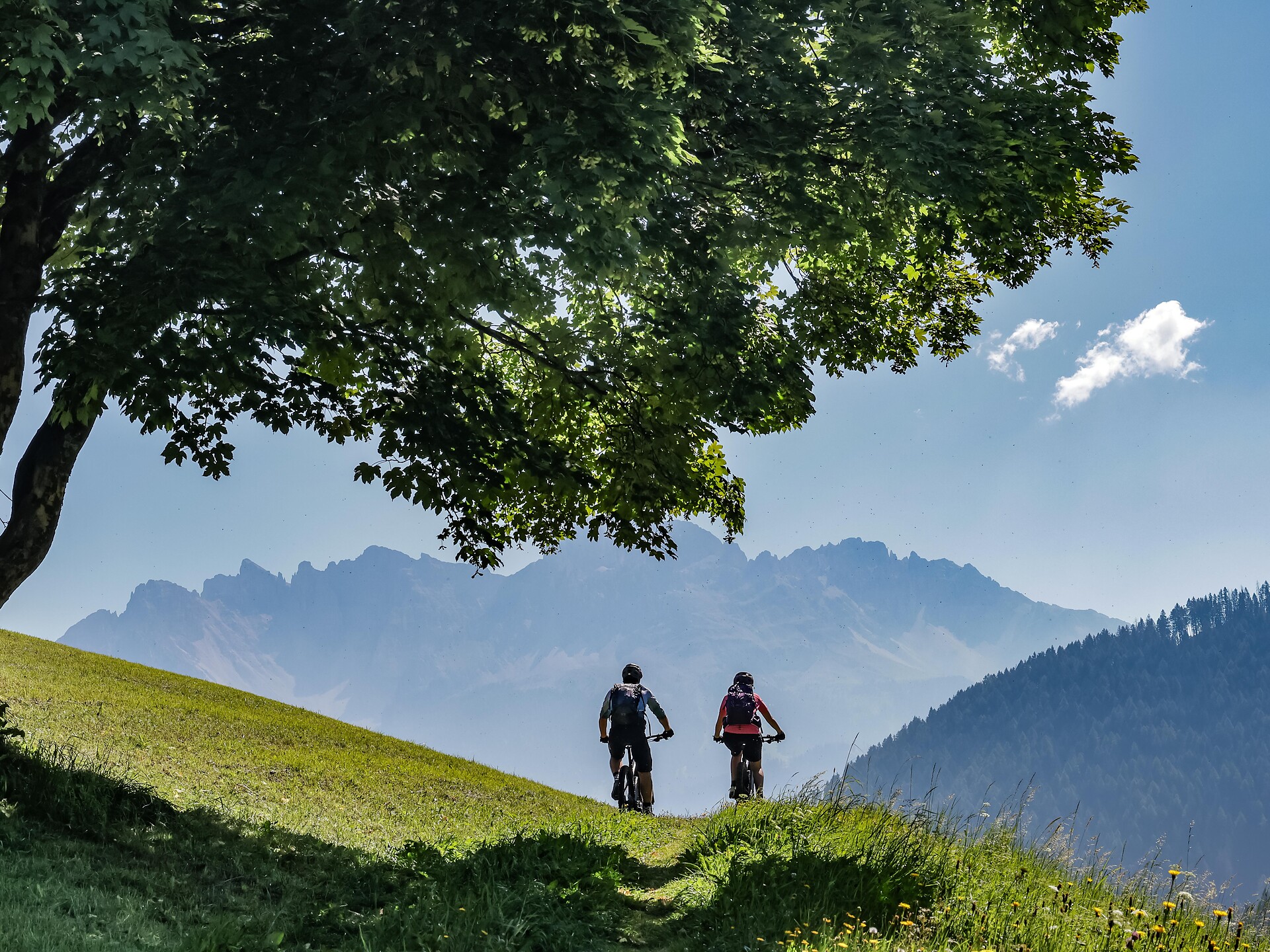 Rosadira Bike - E-Bike | Basis-Einführung und Lavazè Tour Deutschnofen 1 suedtirol.info