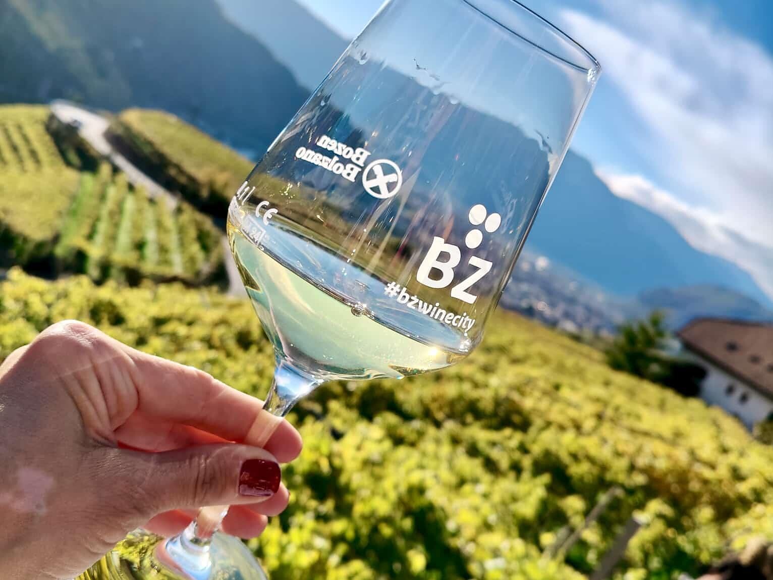REBE Passeggiata con degustazione di vino tra Signato e Rencio - Bolzano e dintorni - #3 - suedtirol.info