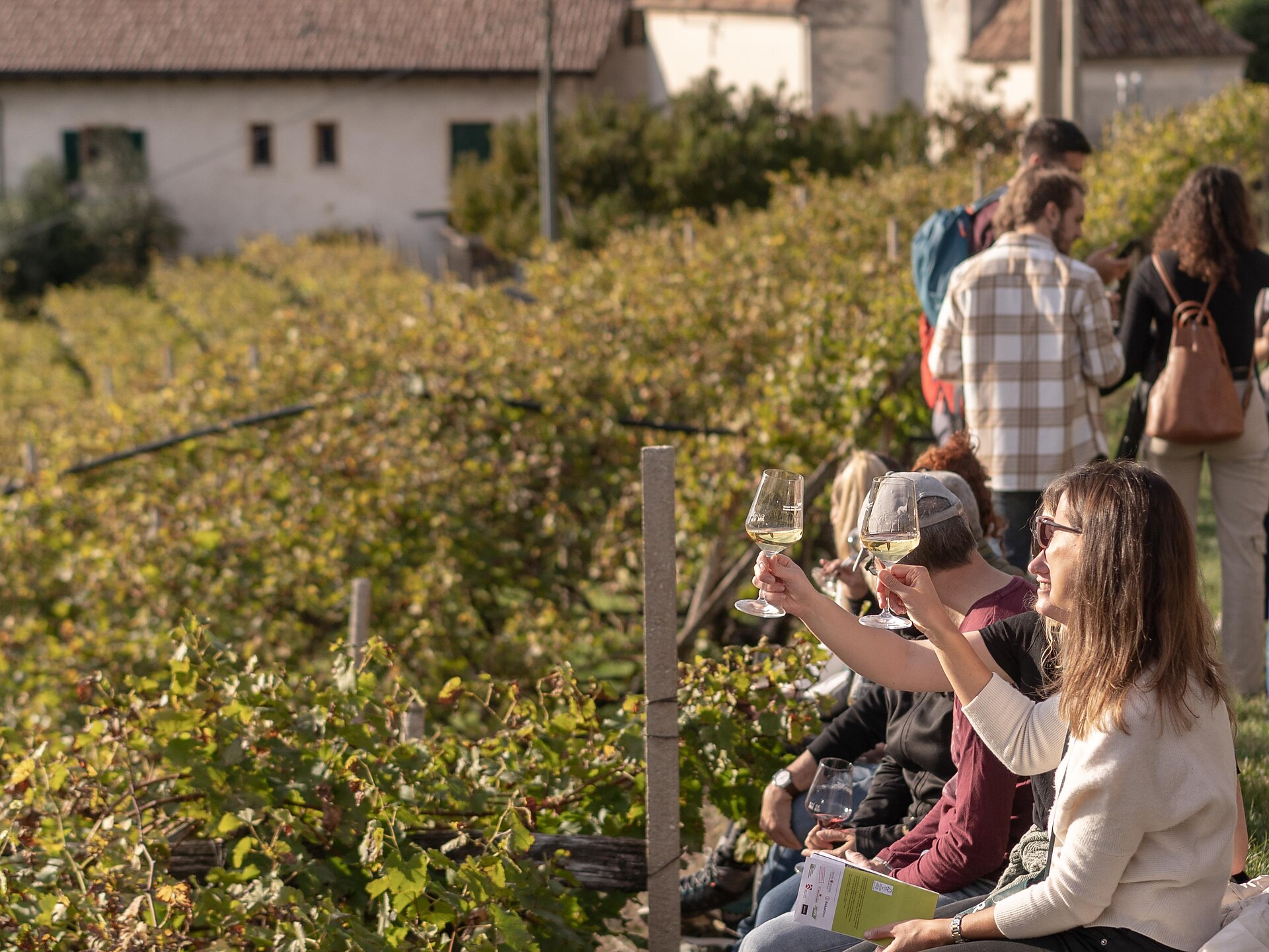 REBE Passeggiata con degustazione di vino tra Signato e Rencio - Bolzano e dintorni - #1 - suedtirol.info