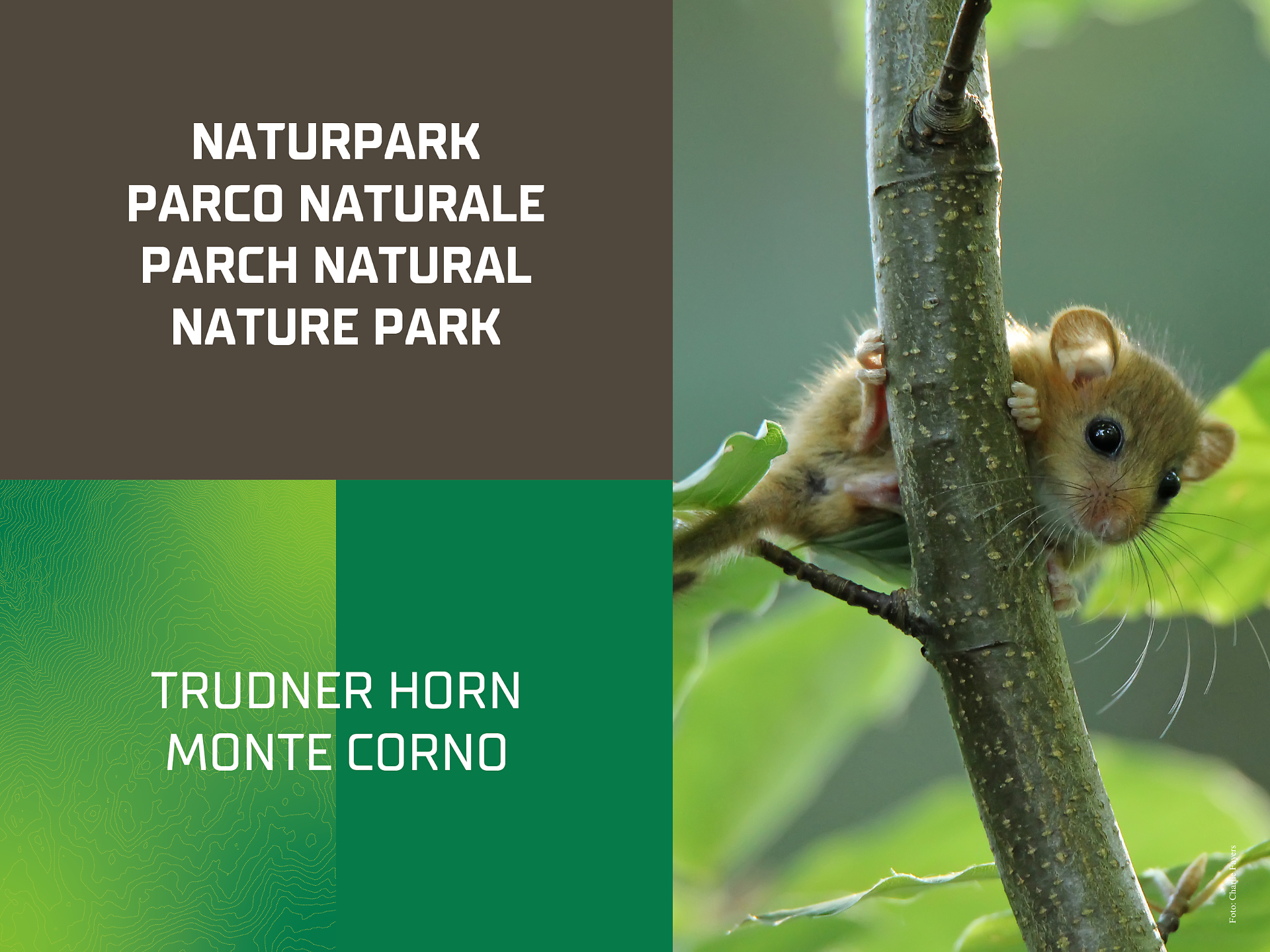 Raus in die Natur! | Familienwanderung -  - #1 - suedtirol.info