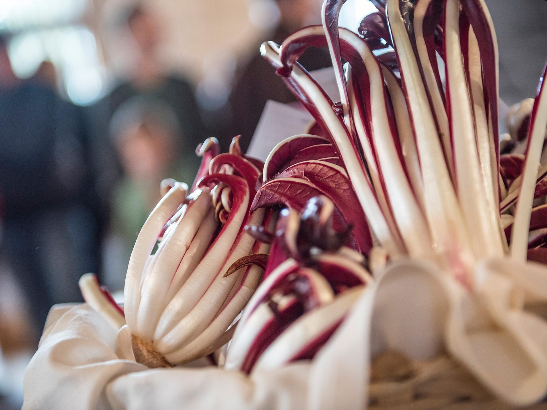 Radicchio Workshop con Dinner - Merano e dintorni - #1 - suedtirol.info