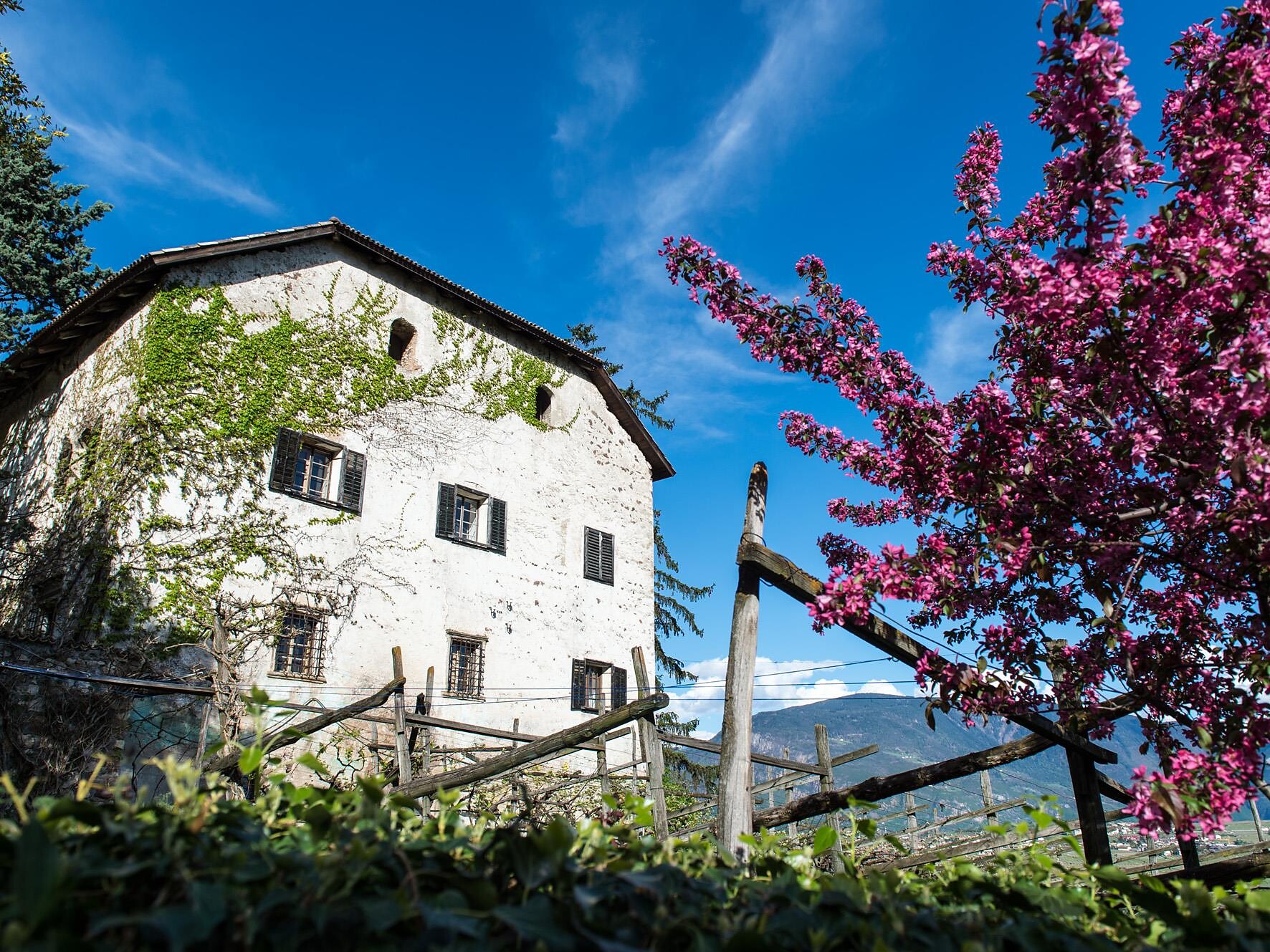 Reben - Schlösser - Ansitze Eppan an der Weinstraße 3 suedtirol.info