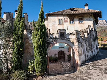 Vitigni - castelli - dimore Appiano sulla Strada del Vino 2 suedtirol.info