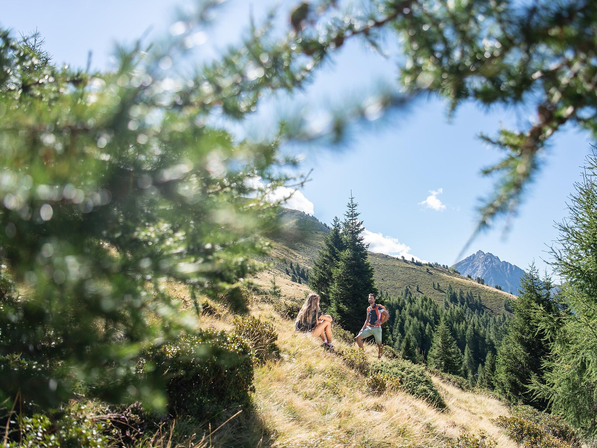 Escursione circolare a Plan - Merano e dintorni - #1 - suedtirol.info