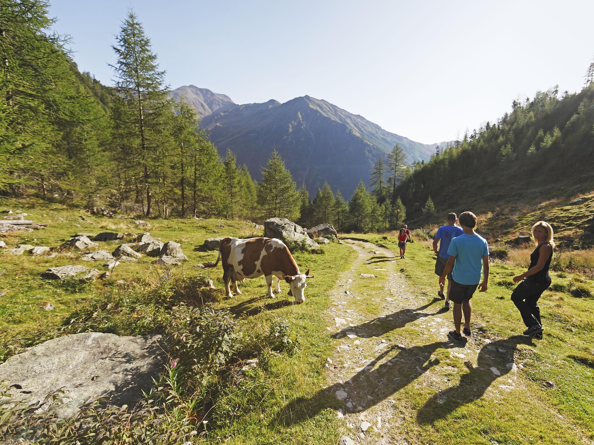 Rundwanderung zum niedersten Gipfelkreuz des Schnalstales (2.285 m ü. M.) Schnals 2 suedtirol.info