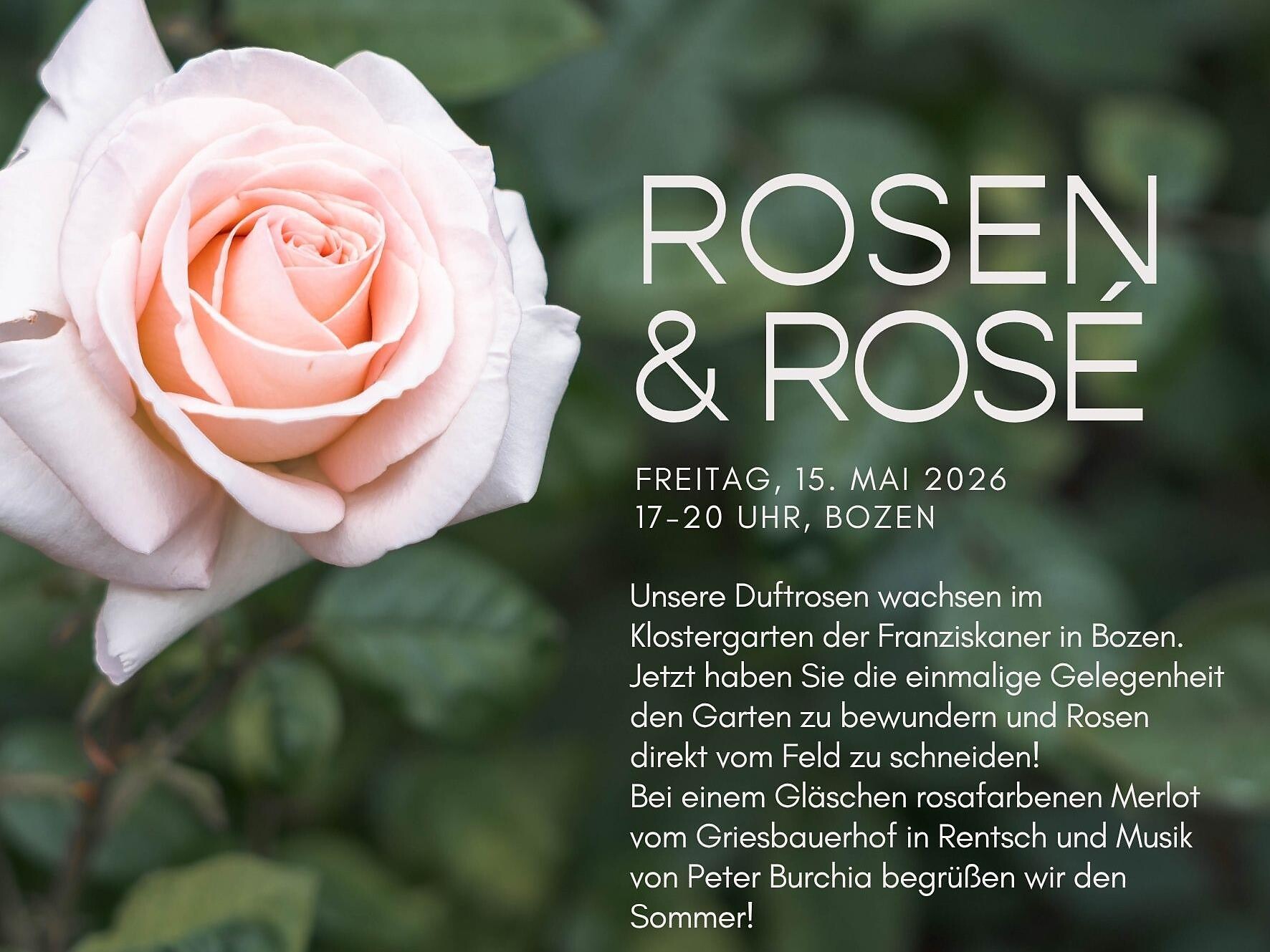 Rose & Rosé - Bolzano e dintorni - #3 - suedtirol.info