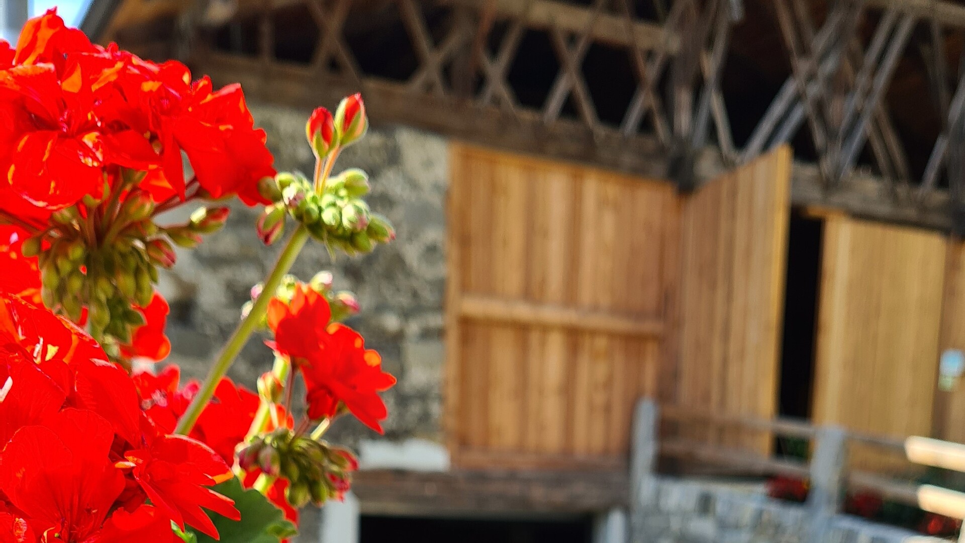 Stodlfete - Meran/Merano and environs - #1 - suedtirol.info