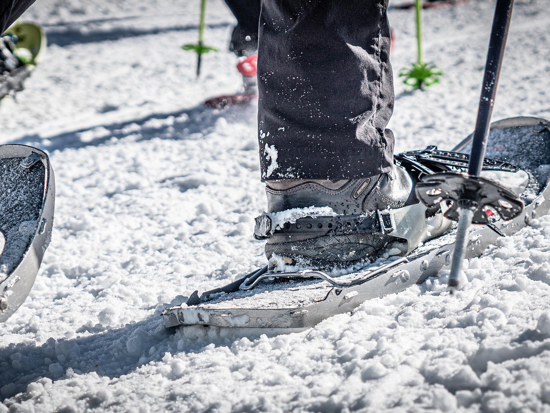 Schneeschuhwanderung auf der Seiser Alm - Dolomitenregion Seiser Alm - #2 - suedtirol.info