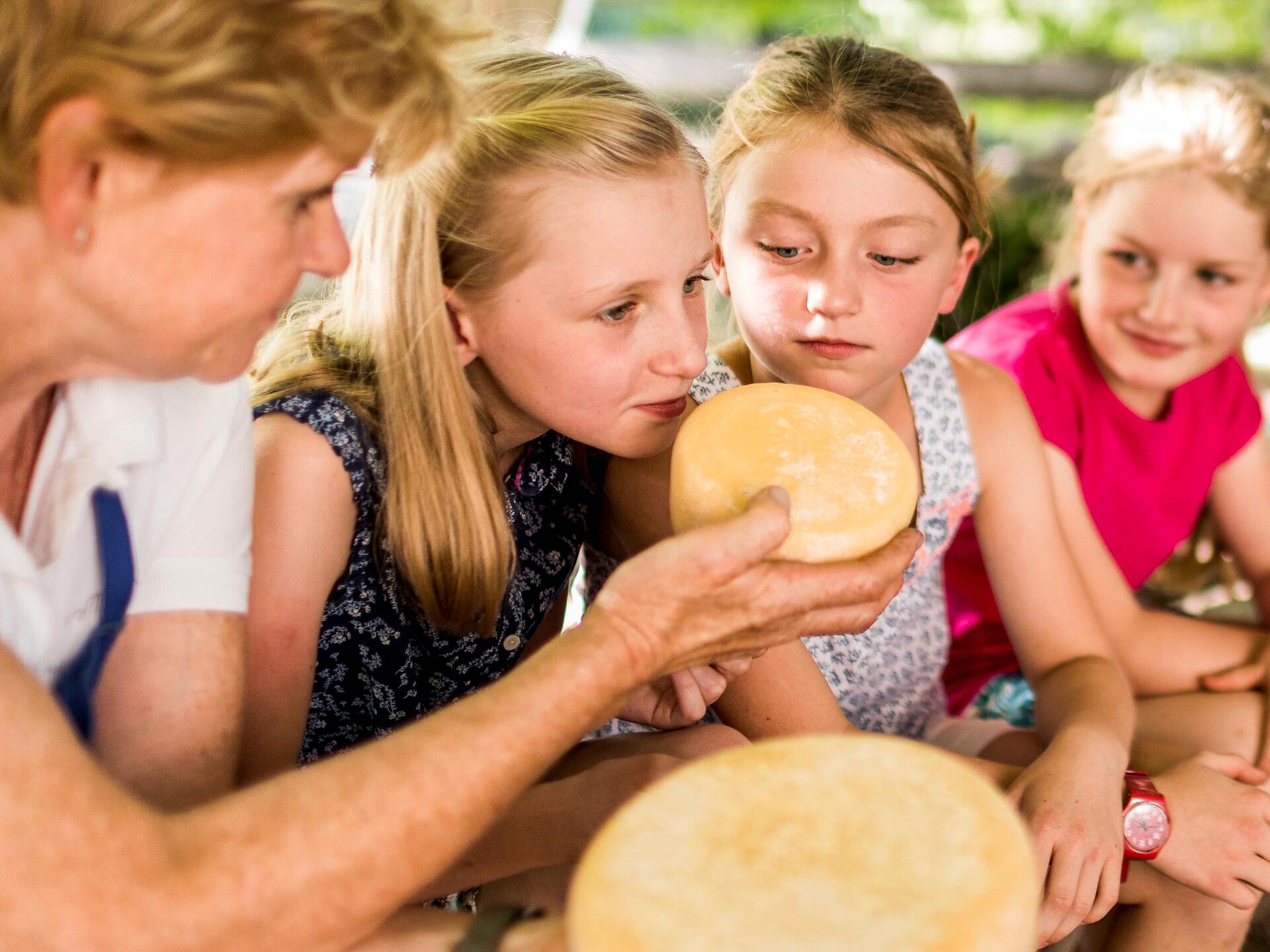 Slow Food Travel - Dal latte al formaggio al Bio-Petrunderhof Funes 2 suedtirol.info