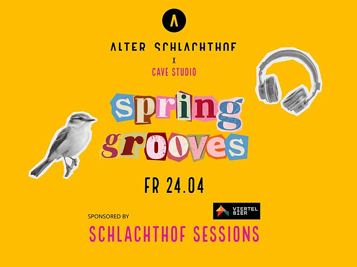 Spring Grooves - Cave Studio - Brixen/Bressanone and environs - #1 - suedtirol.info