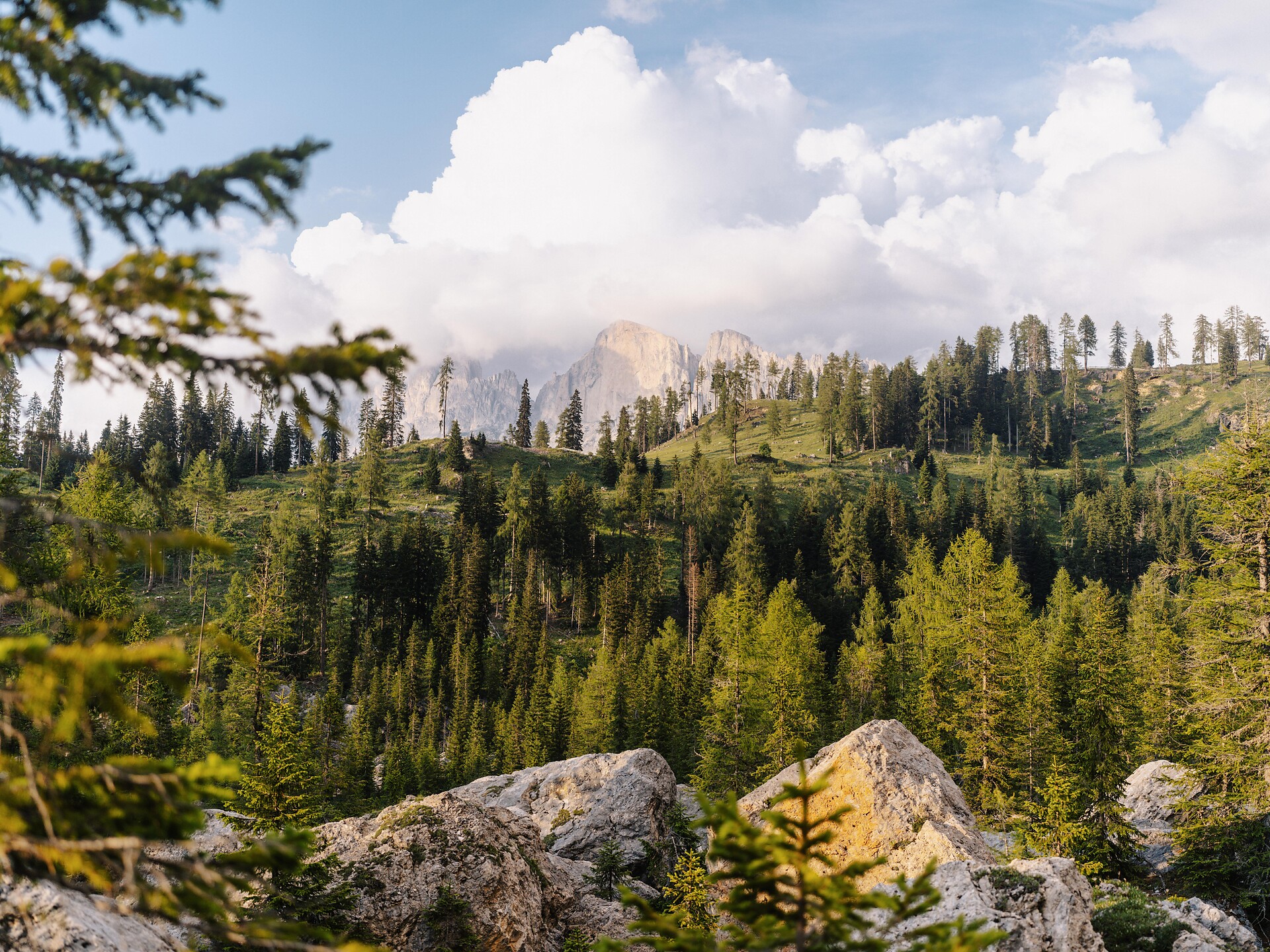 Legend hike to the rock labyrinth of the Latemar - Dolomites Region Eggental - #2 - suedtirol.info