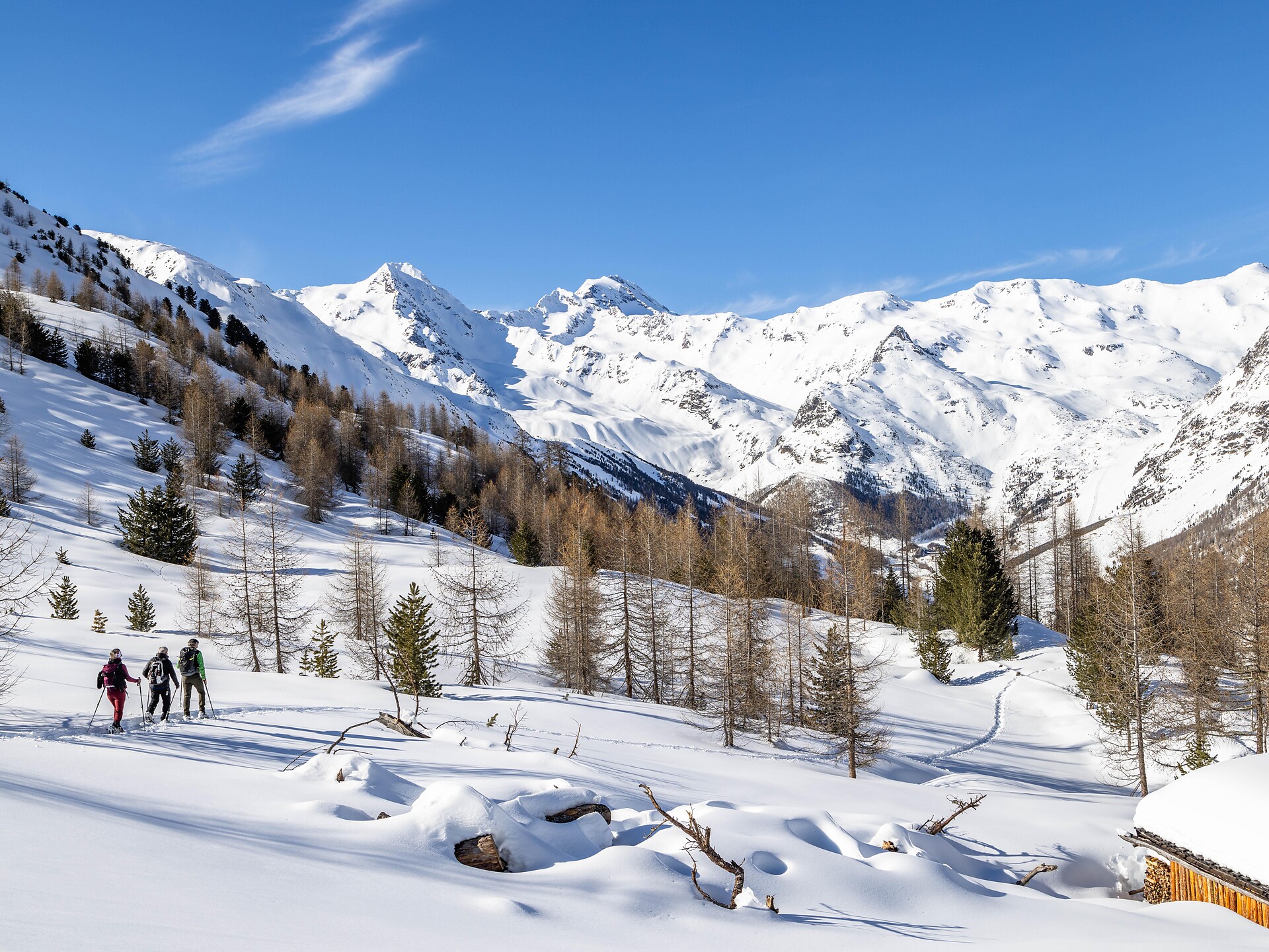 Snowshoe hiking in the Schnalstal Valley - Vinschgau/Val Venosta - #2 - suedtirol.info