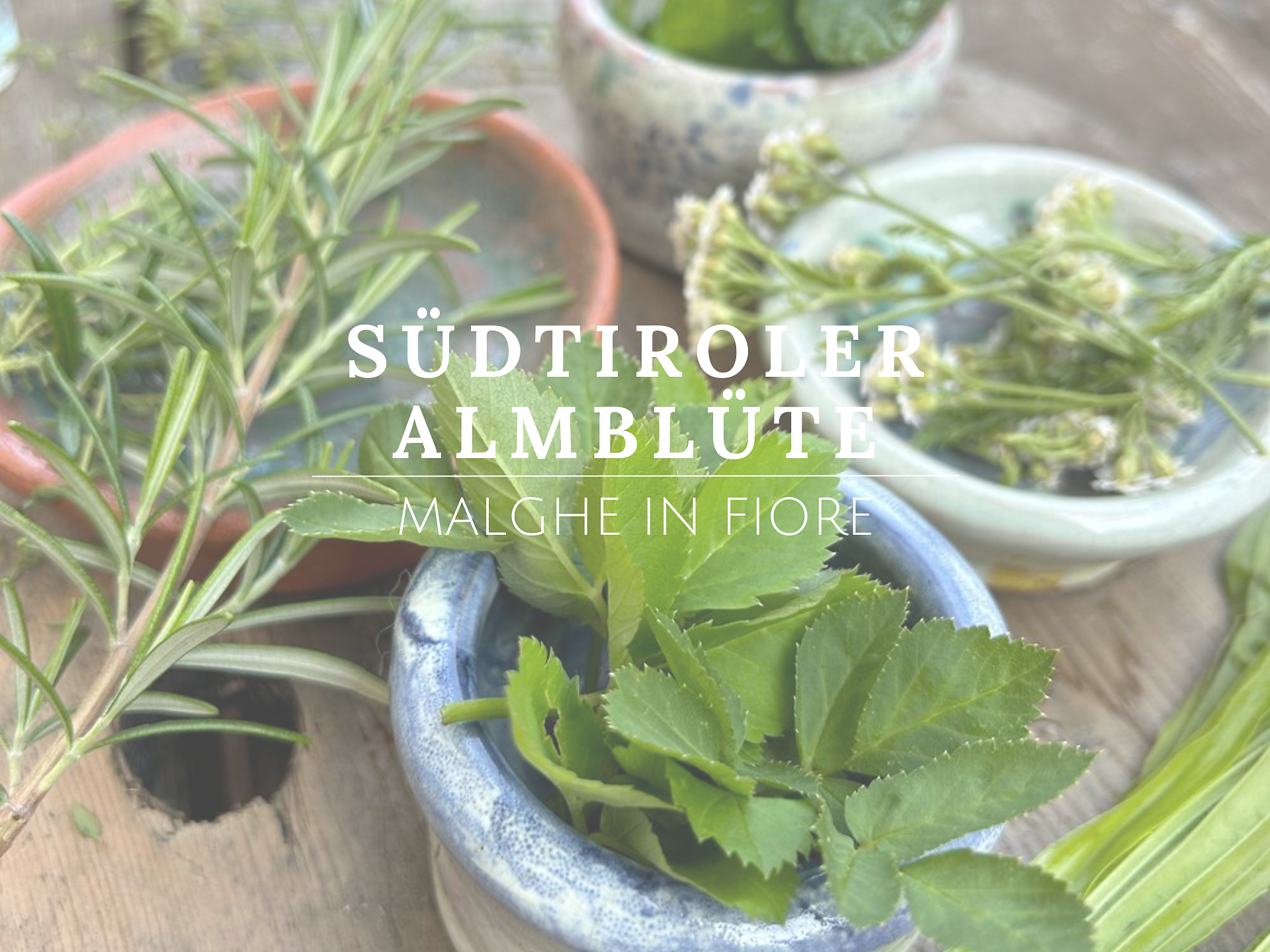SPRINGTIME IN SOUTH TYROL: Wild Wonders – foraging walk in Meransen - Brixen/Bressanone and environs - #1 - suedtirol.info