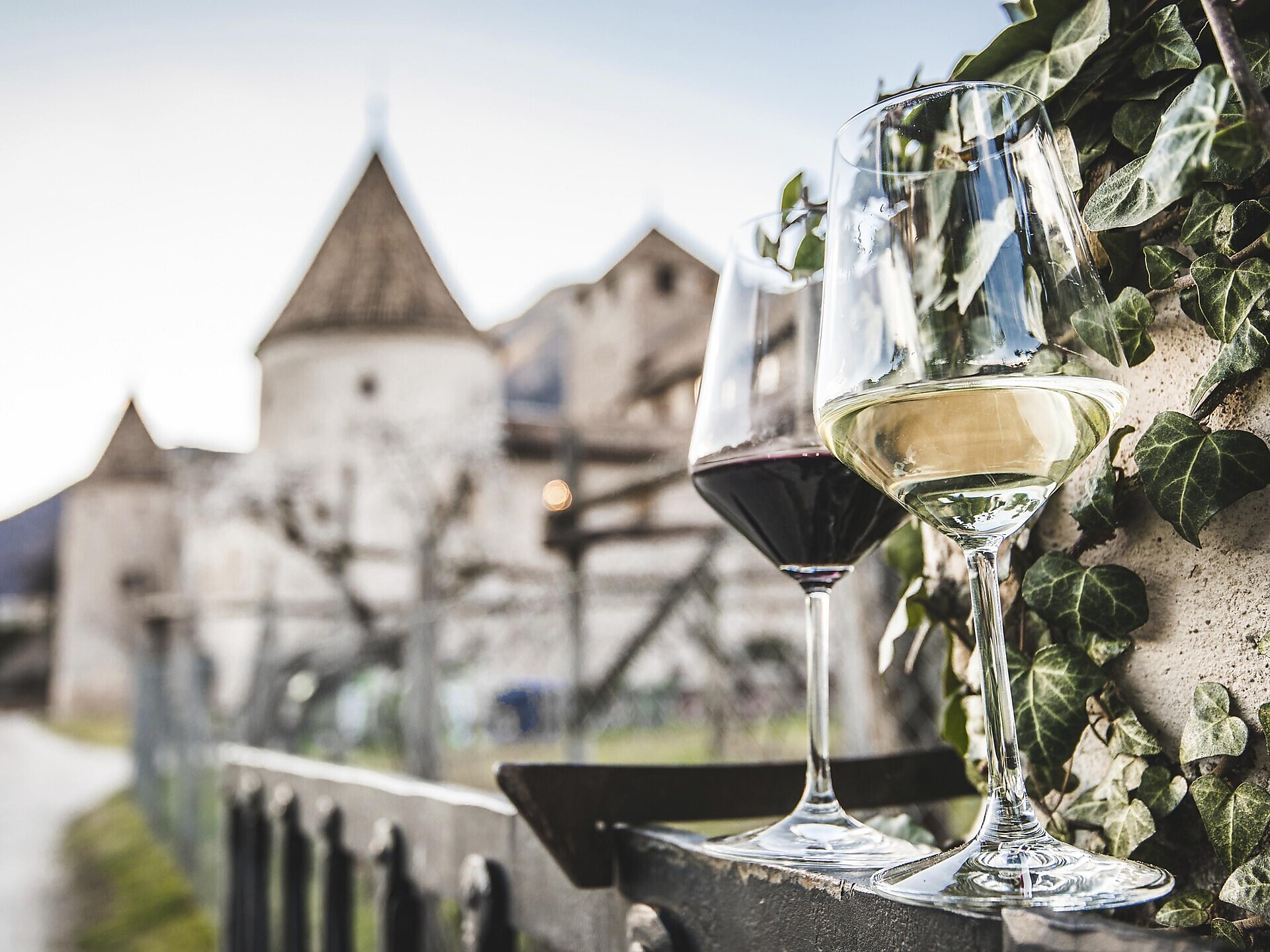 Stadführung: Bozen, die Weinstadt - Bozen und Umgebung - #1 - suedtirol.info