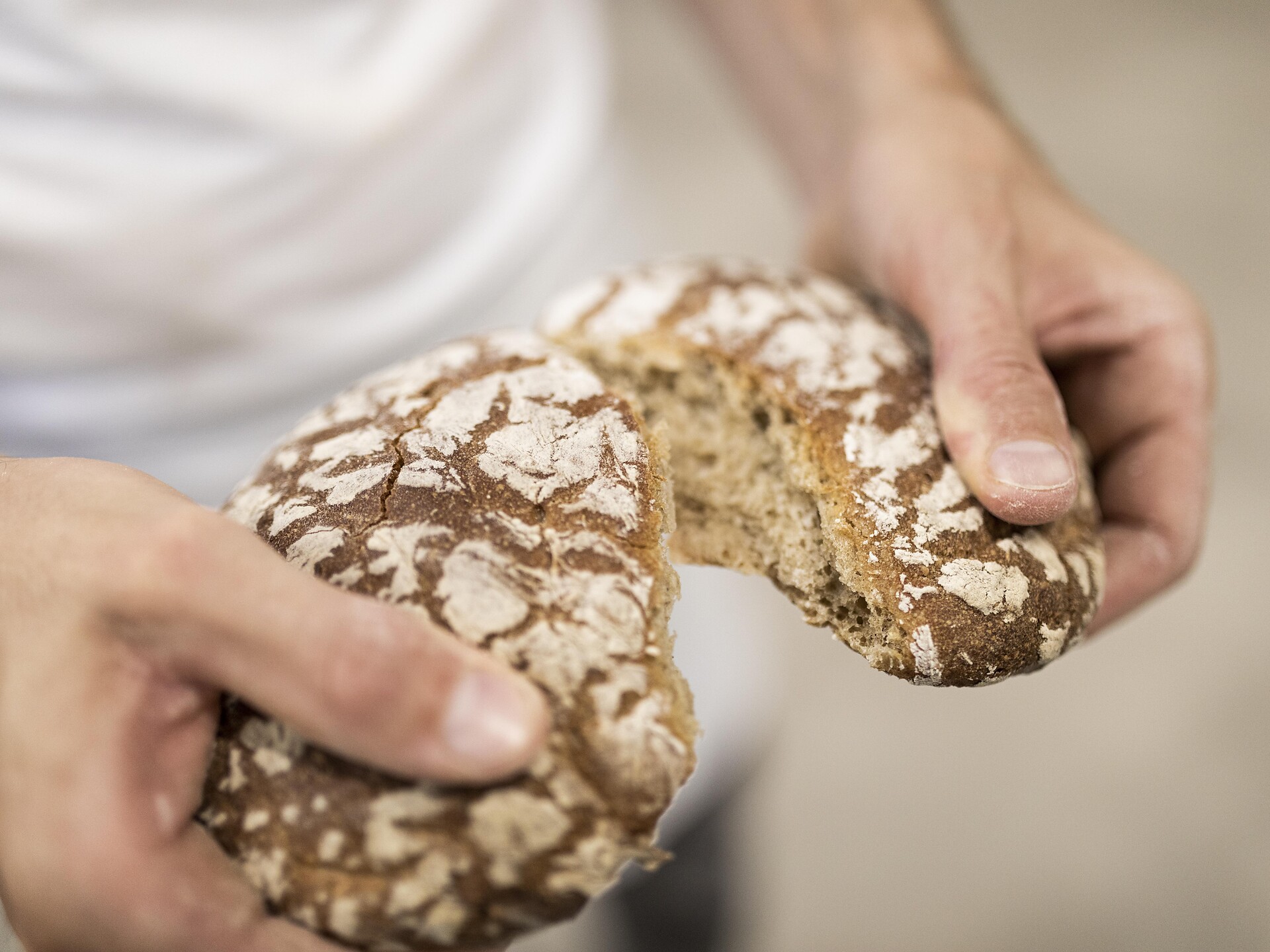 Piacieri autunnali: Schüttelbrot e Vinschgerlen - Corso di panificazione Castelrotto 1 suedtirol.info