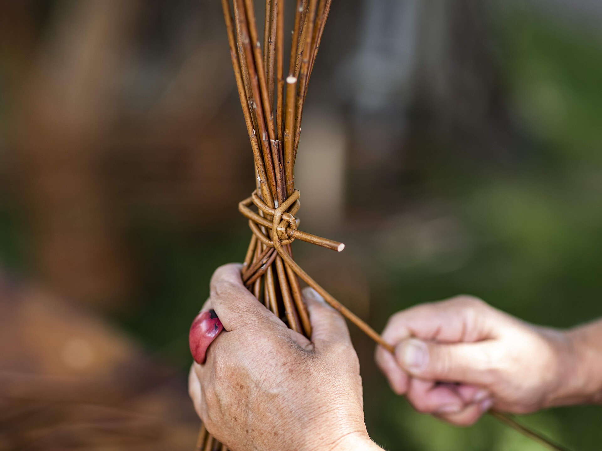 Seiser Alm Balance: Weidenflechten - Dolomitenregion Seiser Alm - #2 - suedtirol.info