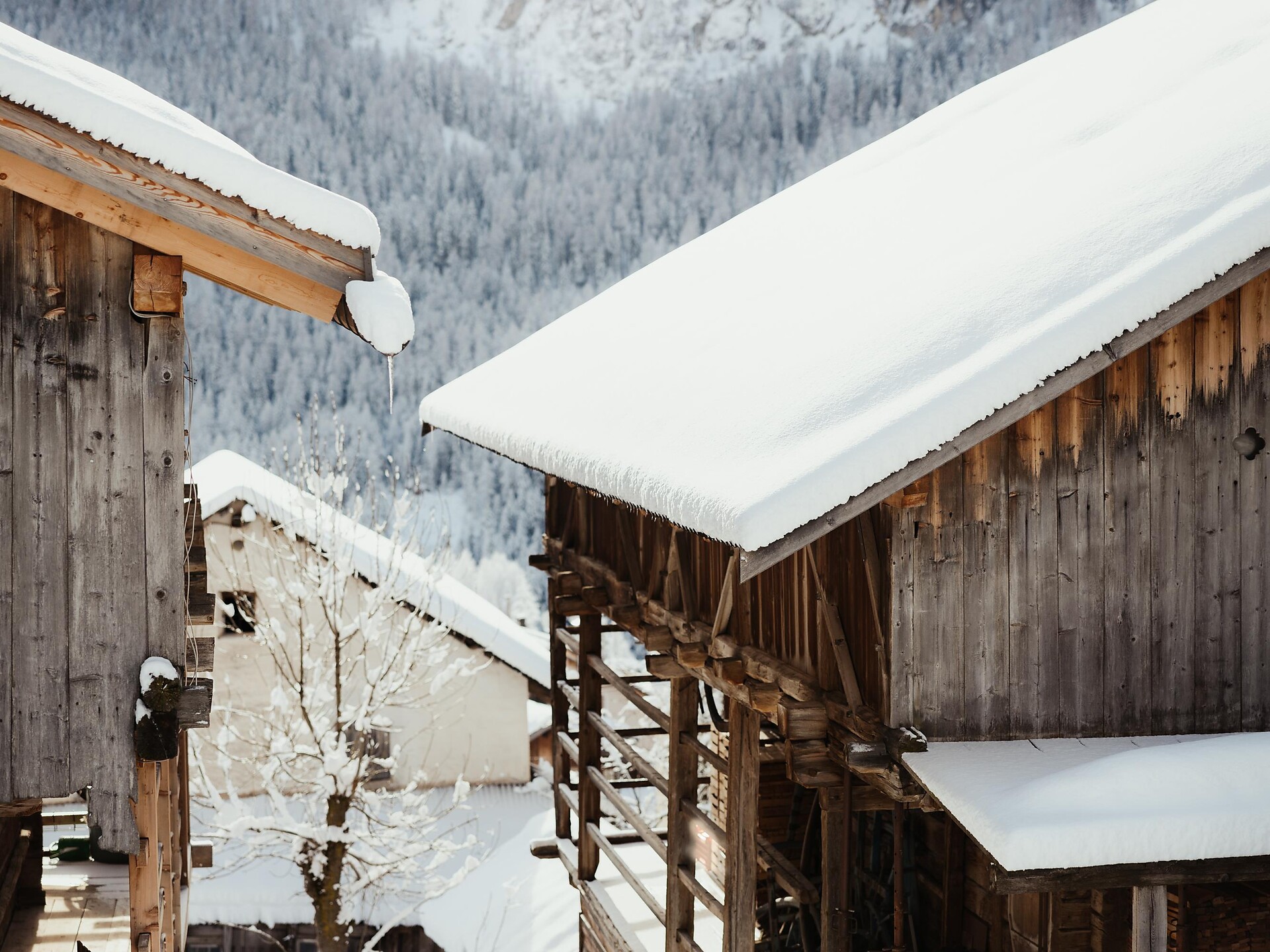 Wanderung auf den Spuren der ladinischen Kultur - Dolomitenregion Alta Badia - #3 - suedtirol.info