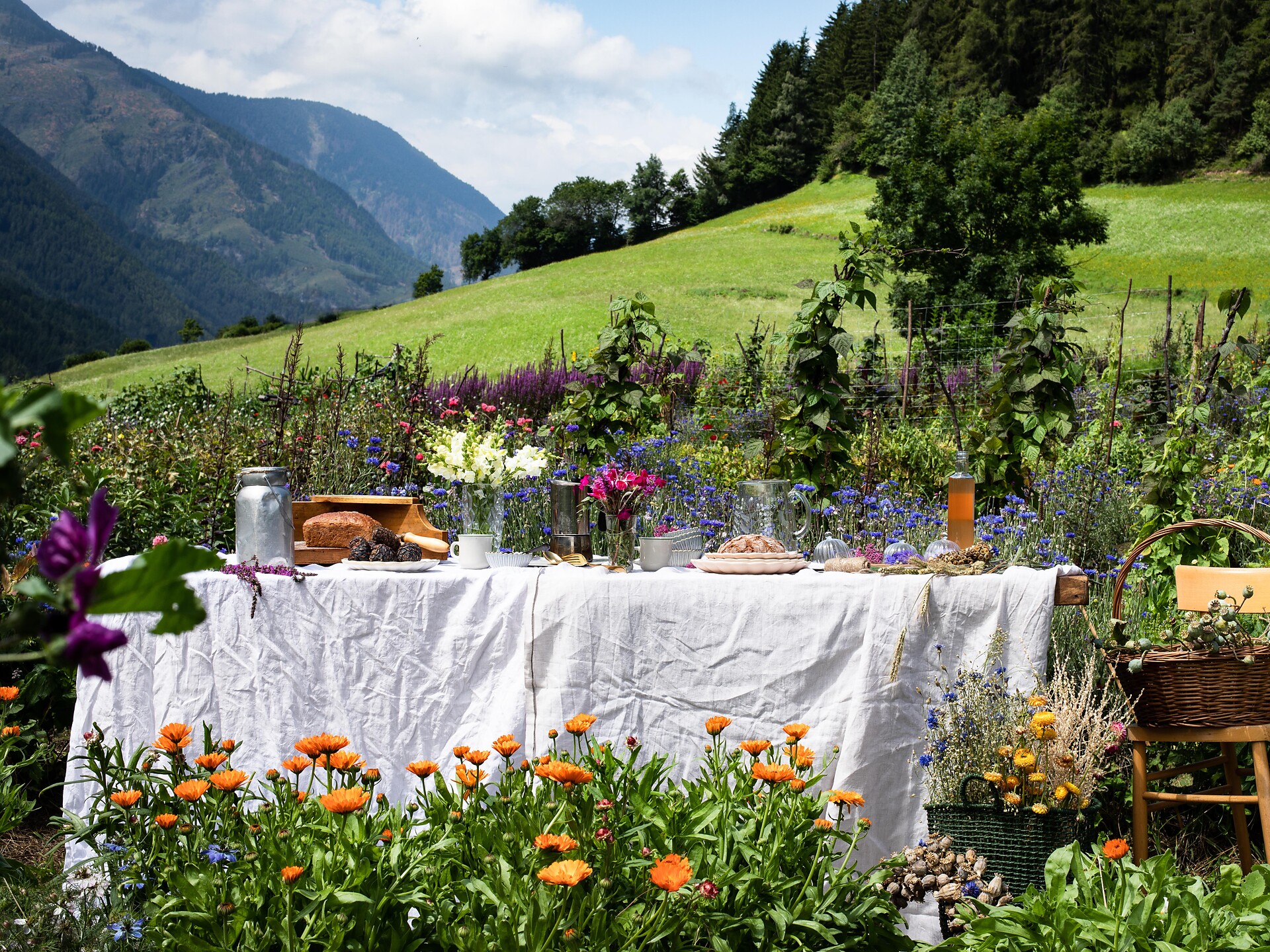 Slow Food Travel - Flowers and mountains - Experiences on the farm Oberhof Villnöss/Funes 3 suedtirol.info