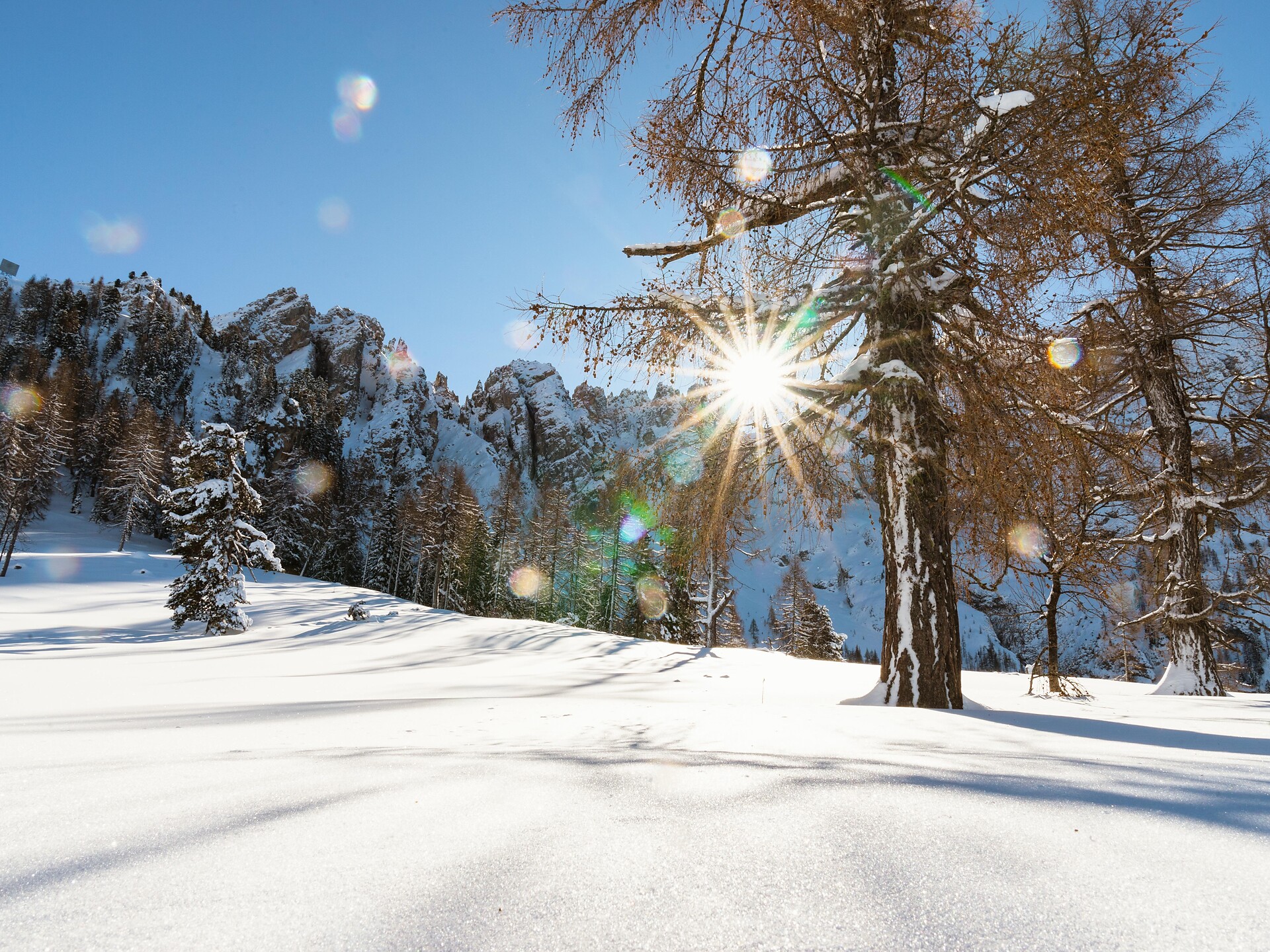 Ciaspolata nei dintorni del Latemar - Regione dolomitica Val d'Ega - #3 - suedtirol.info