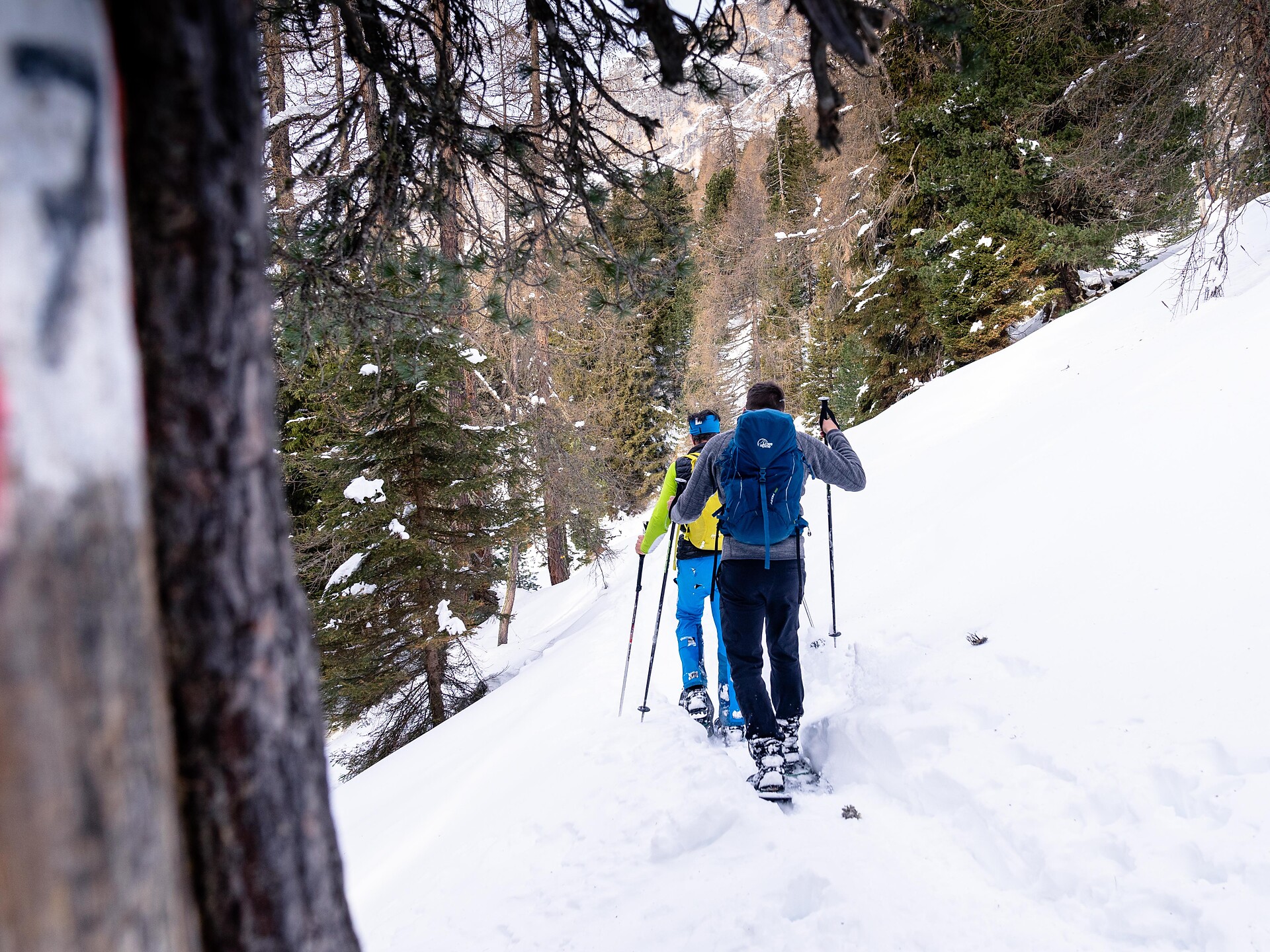 Ciaspolata nei dintorni del Latemar - Regione dolomitica Val d'Ega - #1 - suedtirol.info