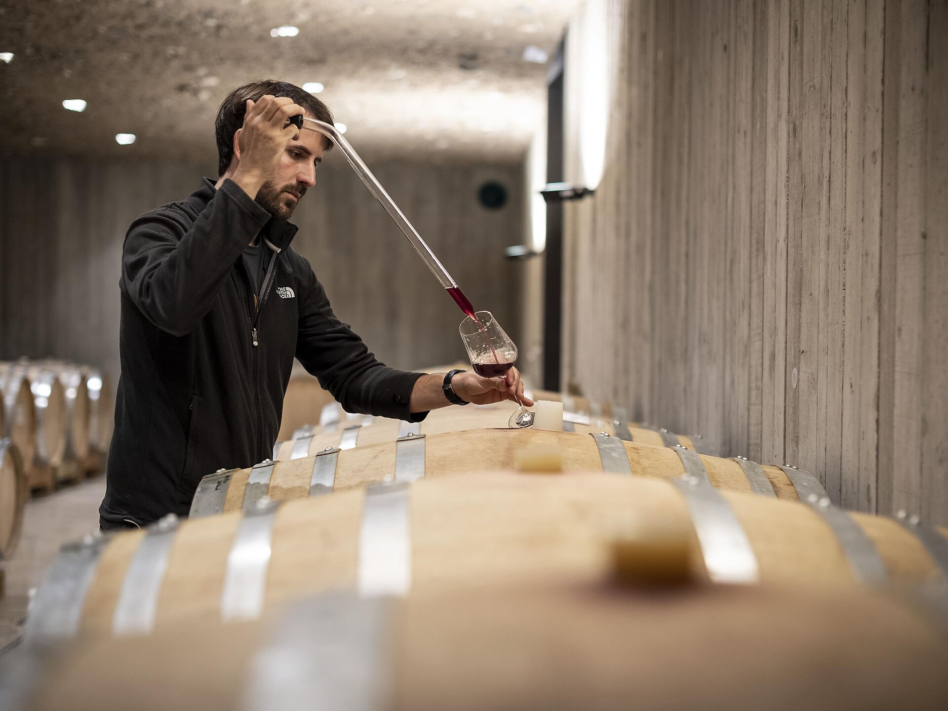 Castel Englar – uno sguardo dietro le quinte - Strada del Vino - #2 - suedtirol.info