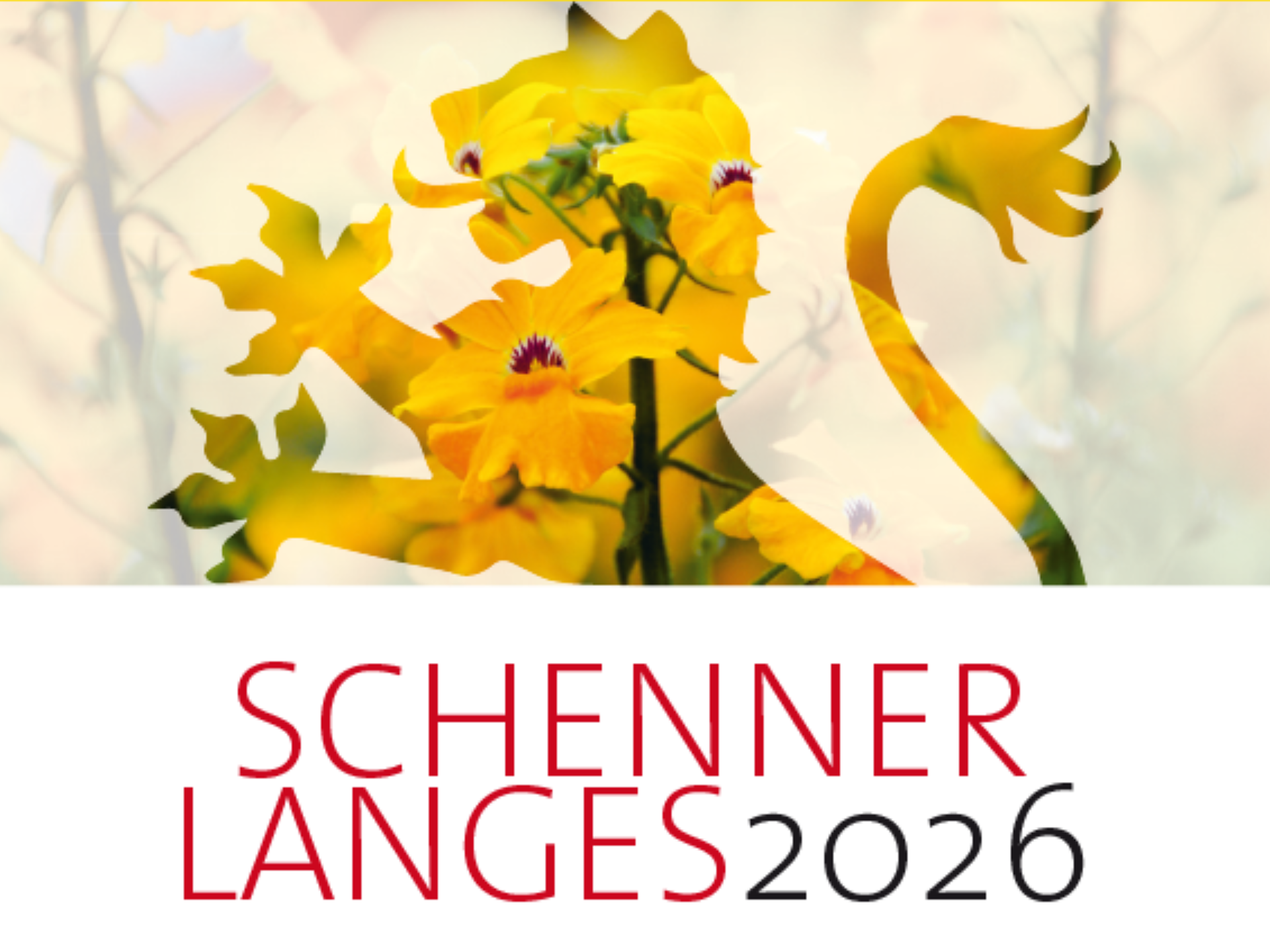 Schenner Langes 2026 - Meran und Umgebung - #1 - suedtirol.info