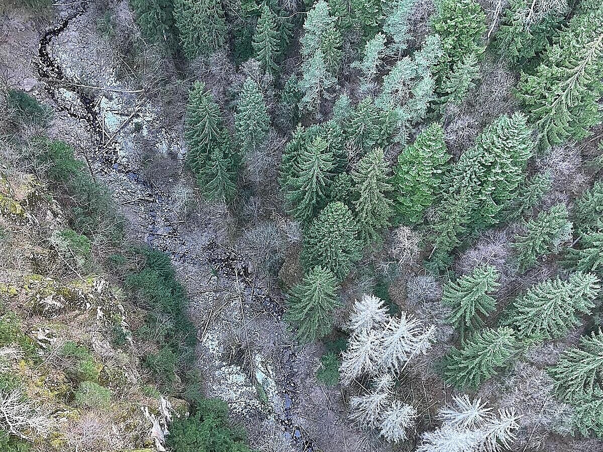 Navetta al ponte sospeso Marterloch - Bolzano e dintorni - #2 - suedtirol.info