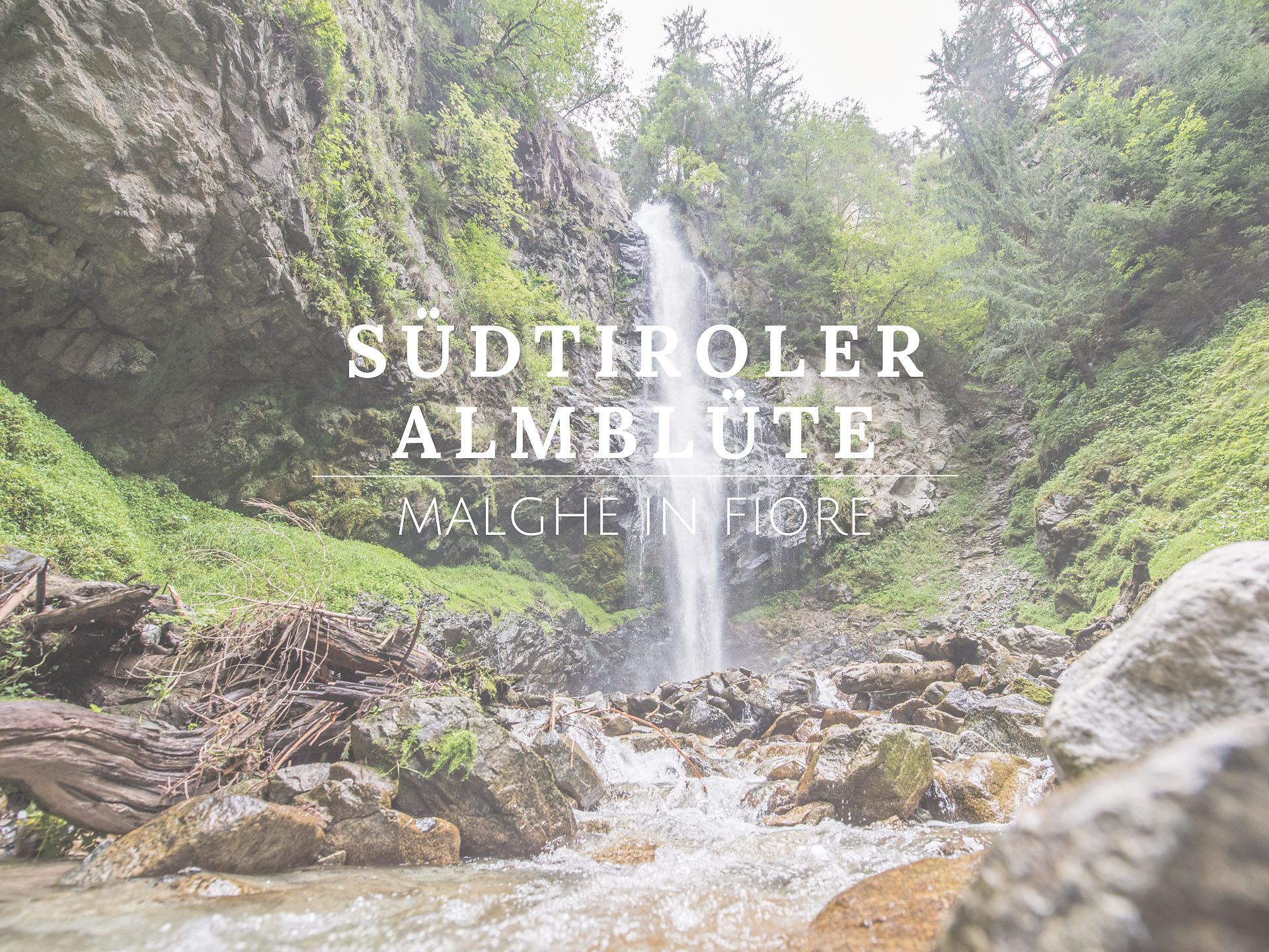 SÜDTIROLER ALMBLÜTE: Waldbaden beim Wasserfall in Obervintl - Brixen und Umgebung - #1 - suedtirol.info