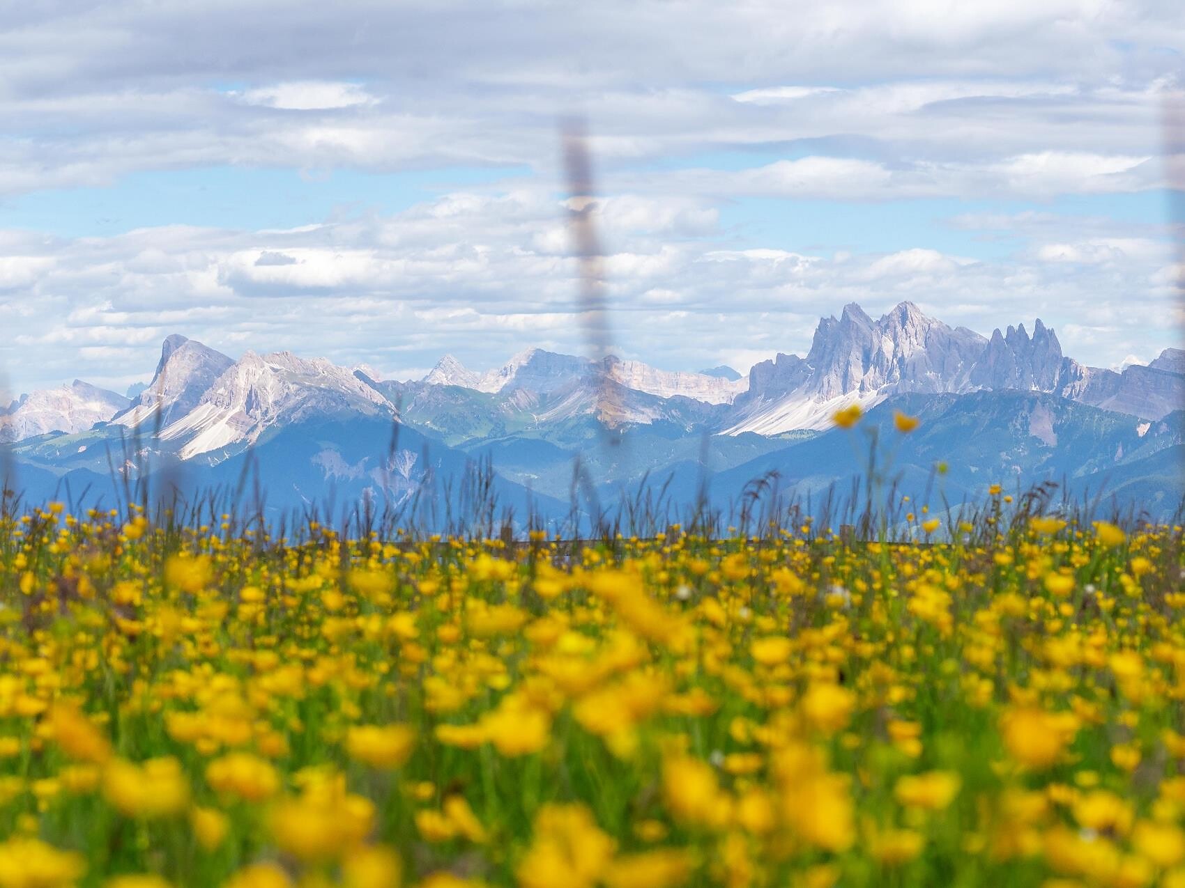 Legendary hike across the mountain pastures of Feldthurns and Latzfons - Brixen/Bressanone and environs - #3 - suedtirol.info