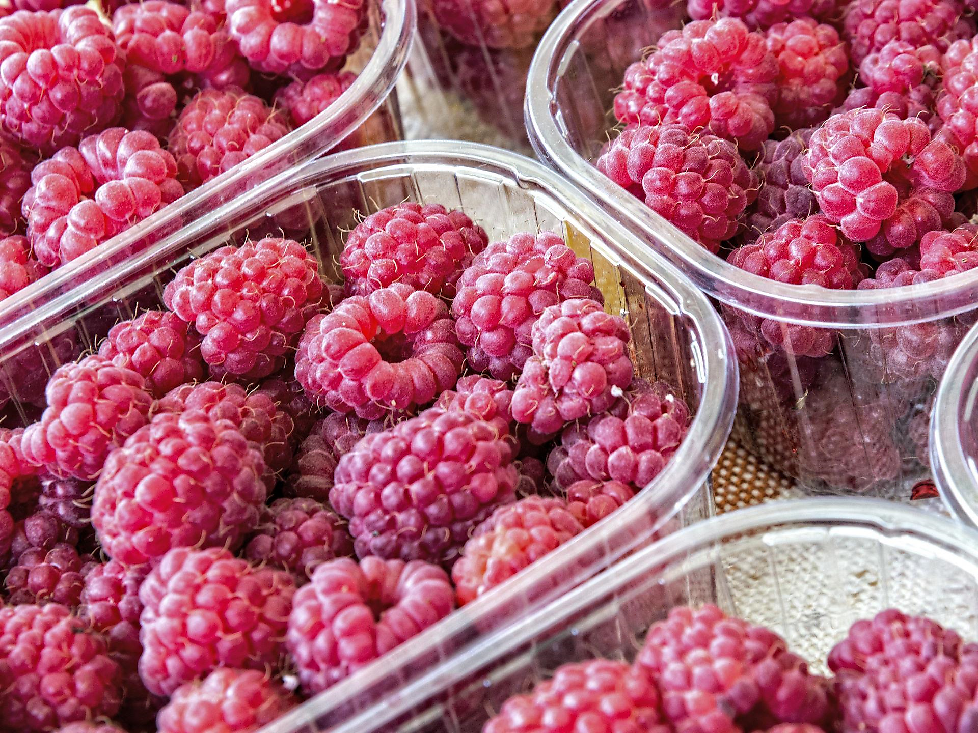 Farmers market Sterzing - Sterzing/Vipiteno and environs - #2 - suedtirol.info