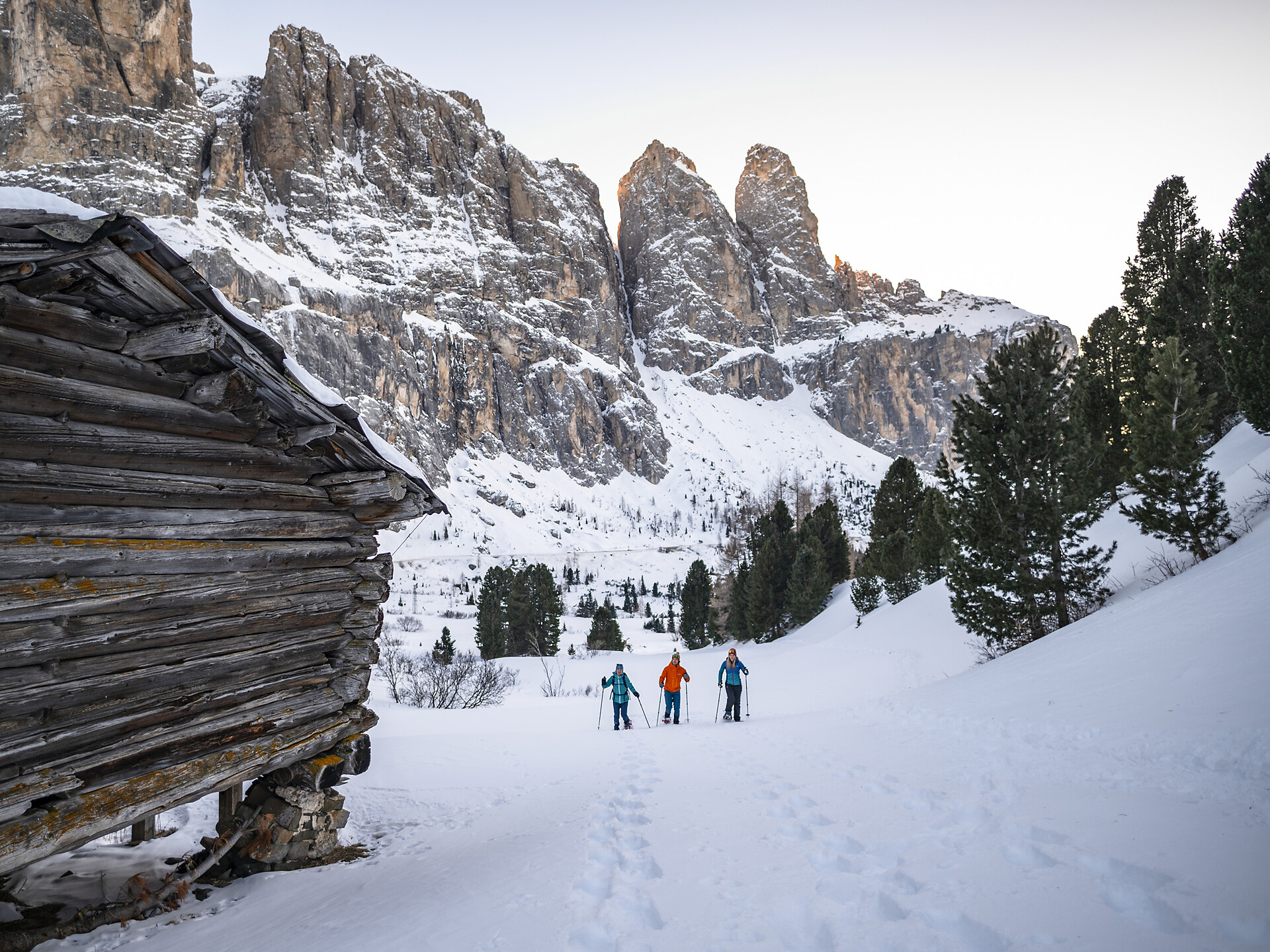 Ciaspolata con le guide alpine "GardenaGuides" – Plans de Frea - Regione dolomitica Val Gardena - #3 - suedtirol.info