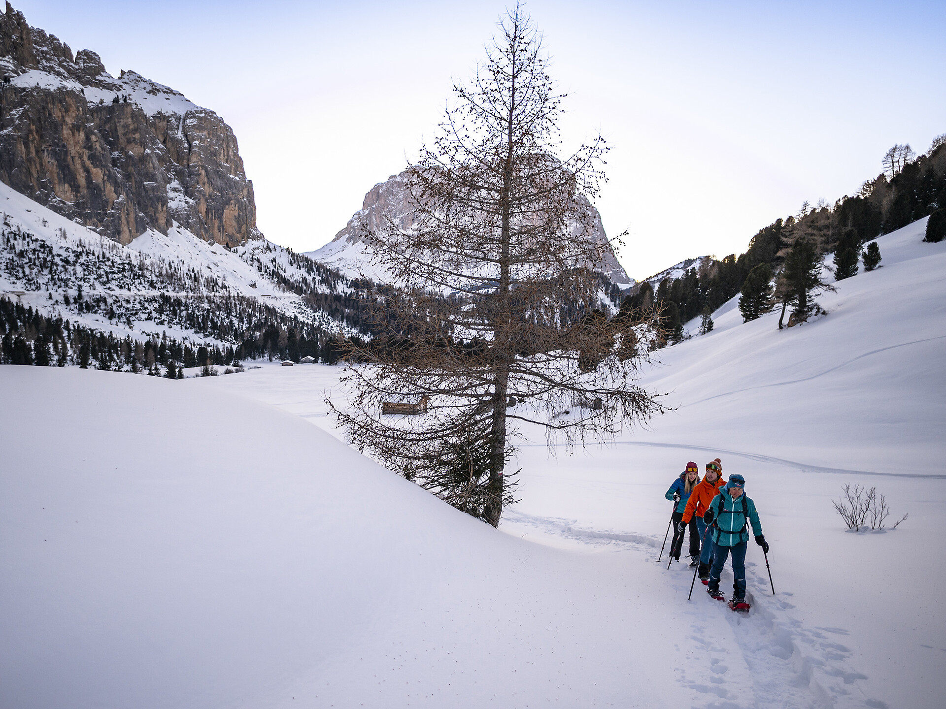 Ciaspolata con le guide alpine "GardenaGuides" – Plans de Frea - Regione dolomitica Val Gardena - #2 - suedtirol.info