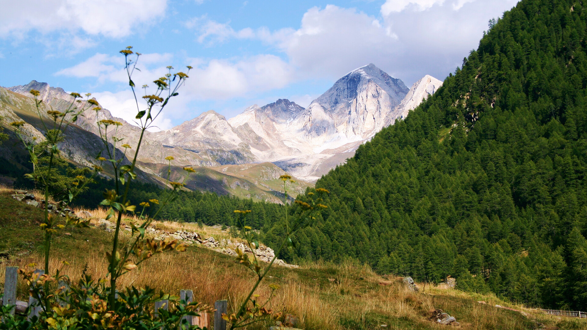 Shuttle Naturno - Val di Fosse (andata) - Merano e dintorni - #1 - suedtirol.info